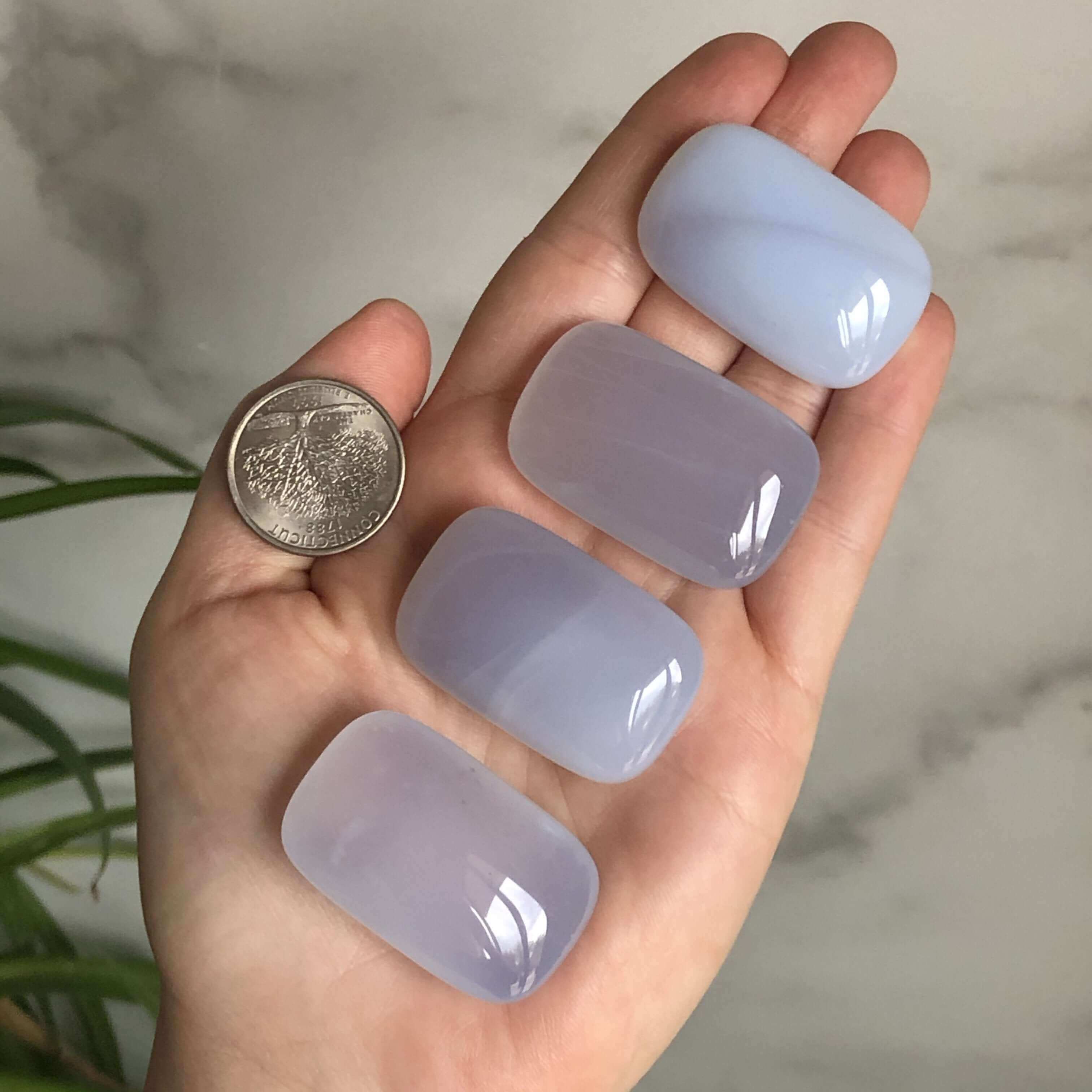 Chalcedony Small Palm Stones Mooncat Crystals
