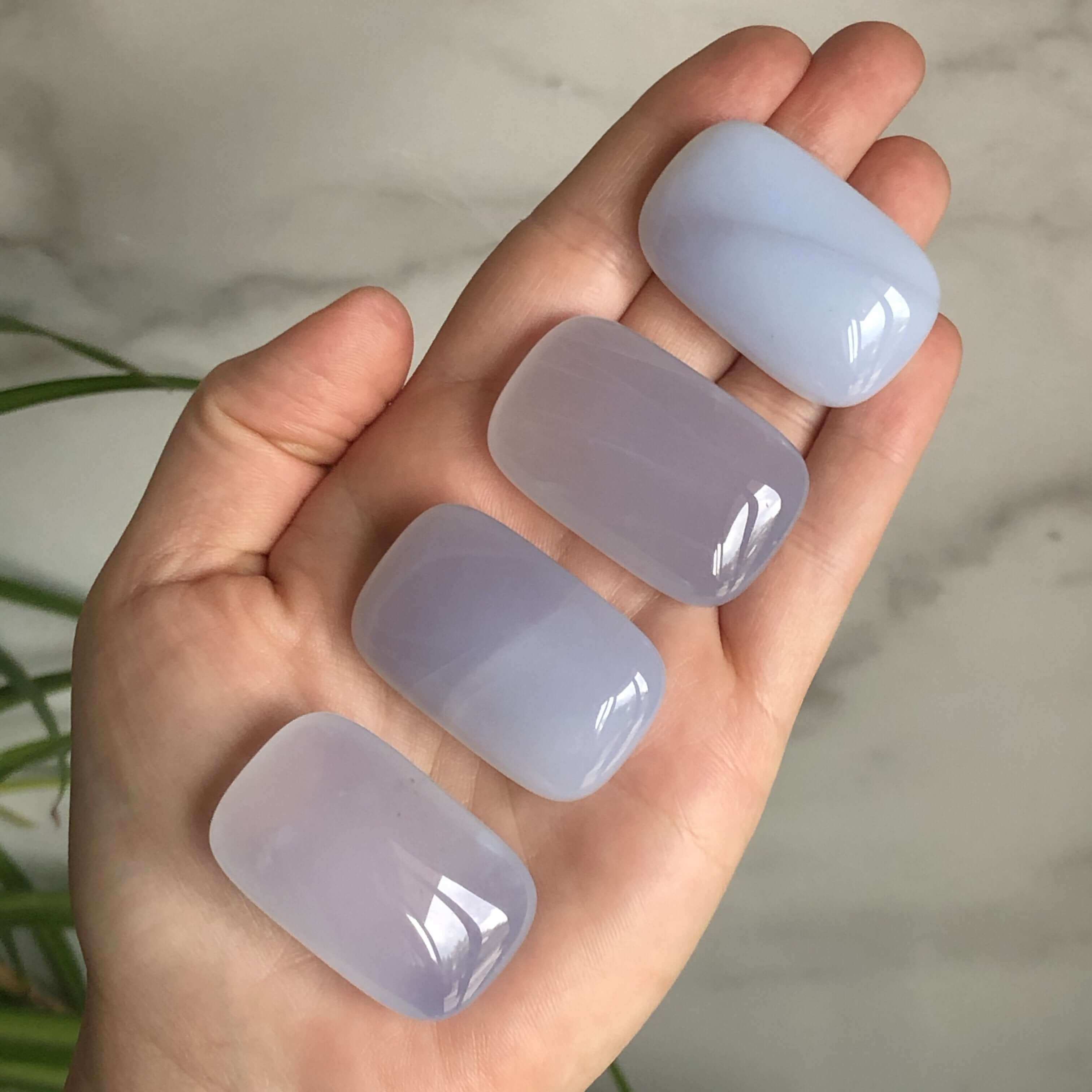 Chalcedony Small Palm Stones Mooncat Crystals