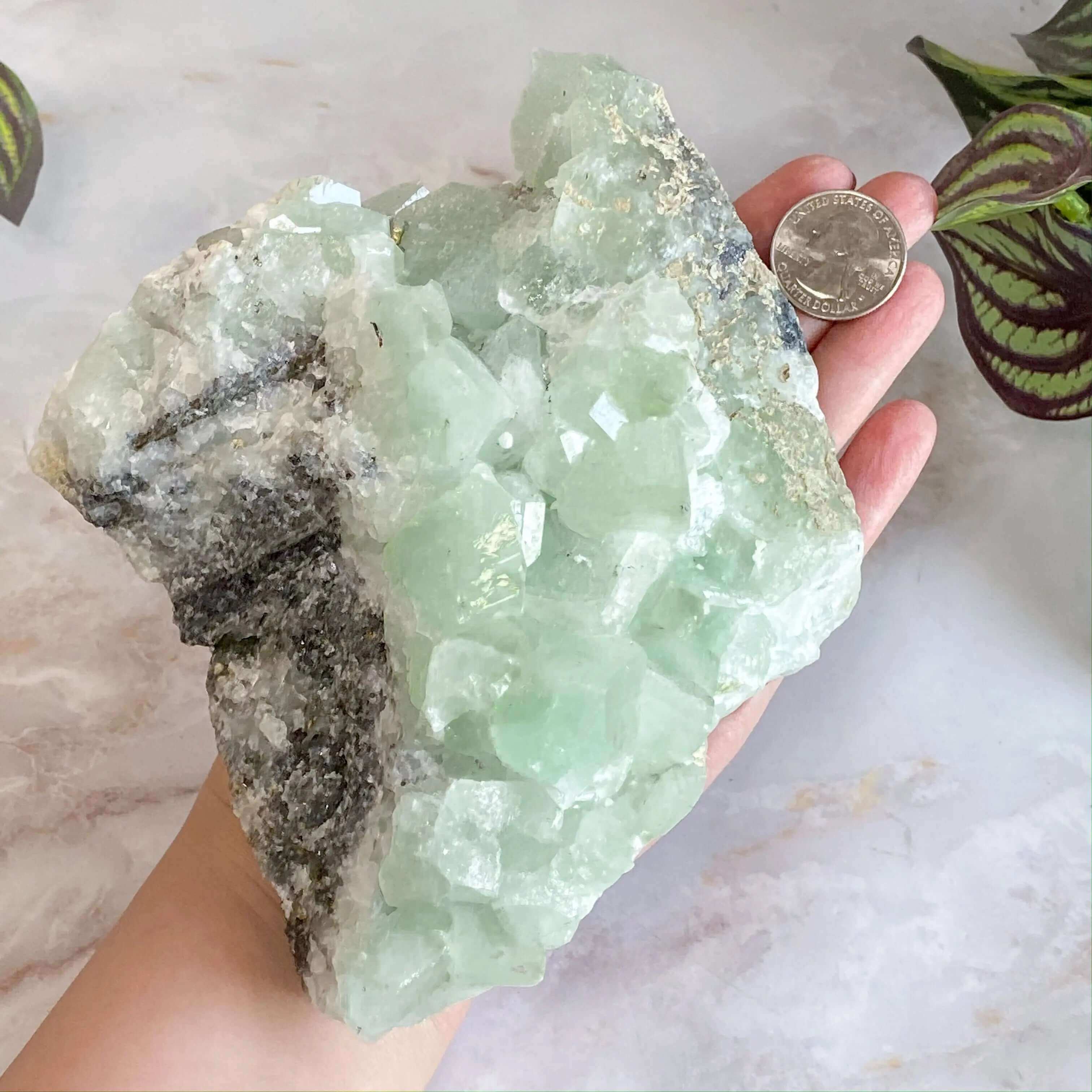 Datolite | Stock D Mooncat Crystals