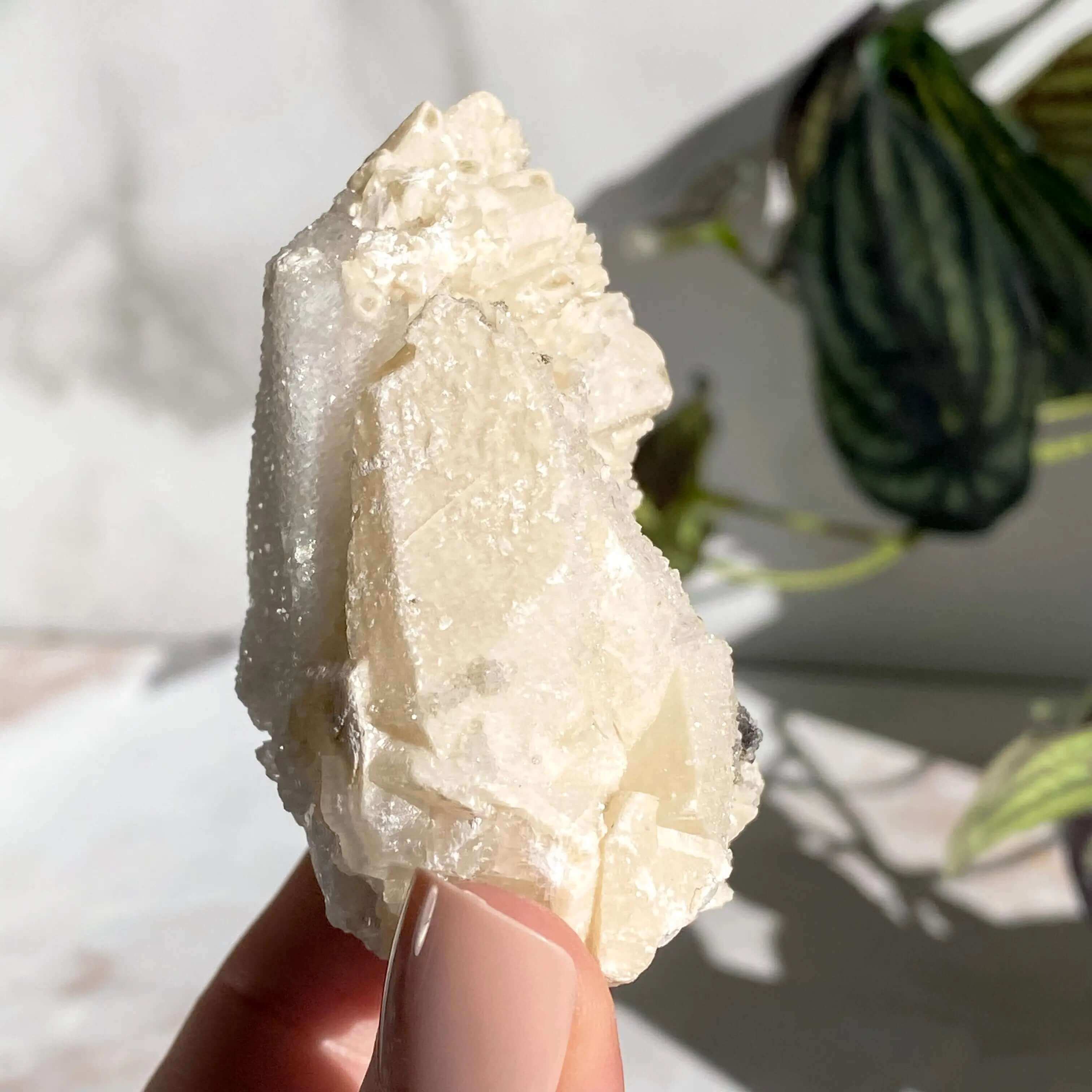 Druzy Pink Danburite with Calcite | Stock DD Mooncat Crystals