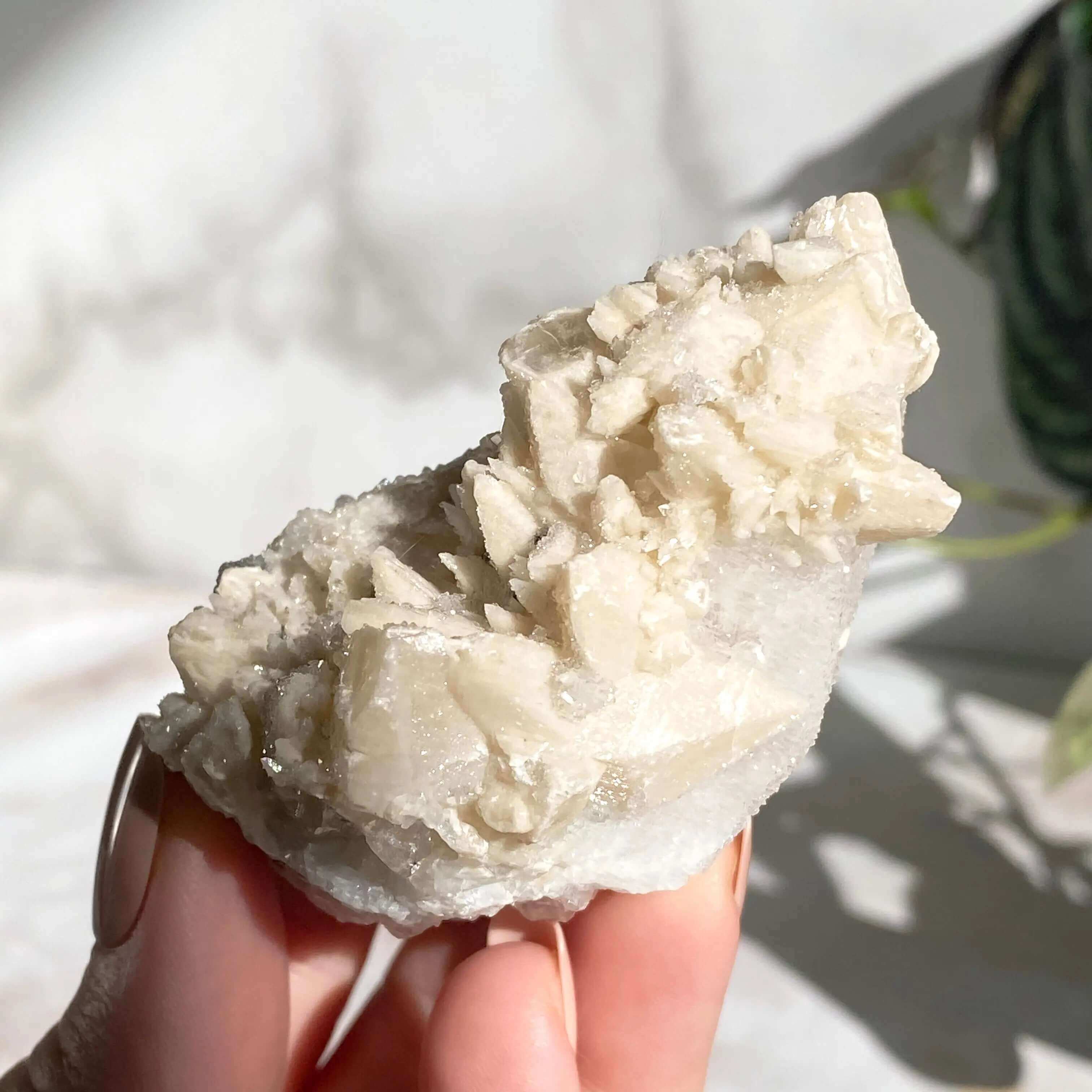Druzy Pink Danburite with Calcite | Stock DD Mooncat Crystals
