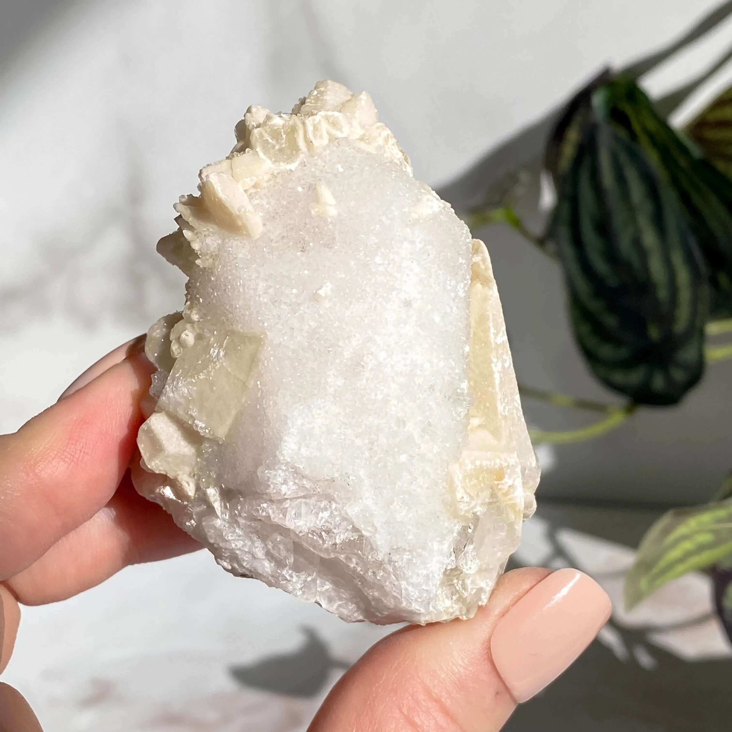Druzy Pink Danburite with Calcite | Stock DD Mooncat Crystals