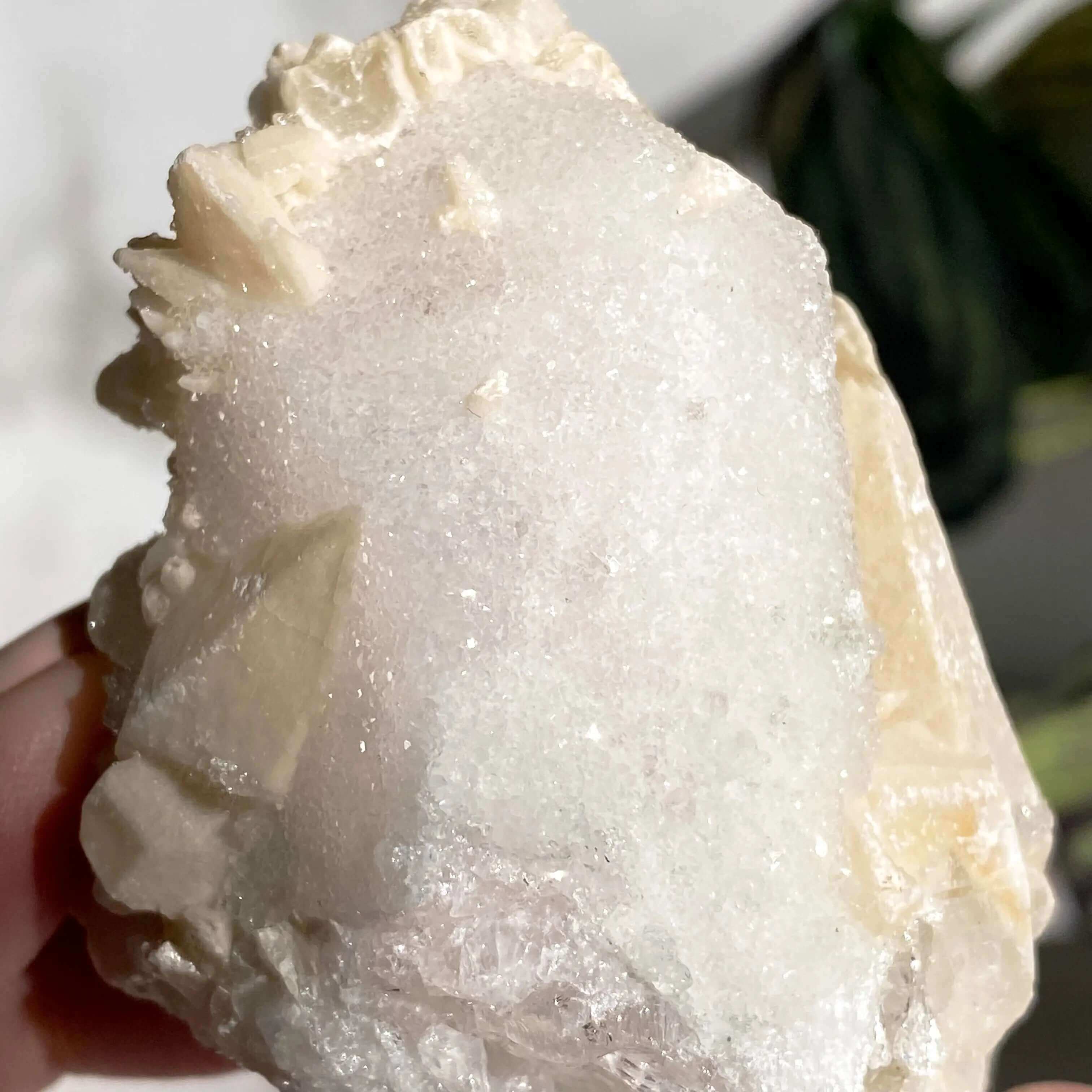 Druzy Pink Danburite with Calcite | Stock DD Mooncat Crystals