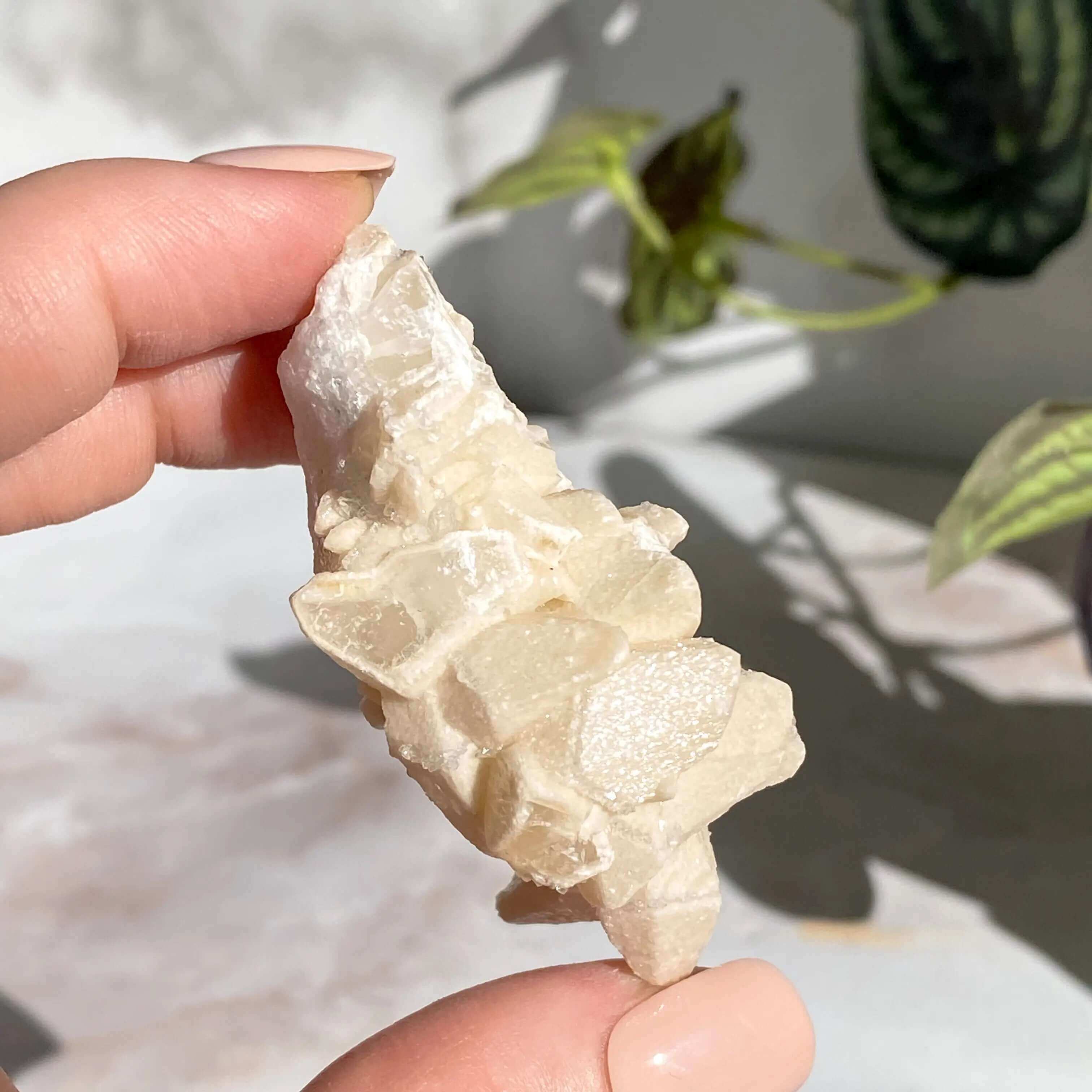 Druzy Pink Danburite with Calcite | Stock FF Mooncat Crystals