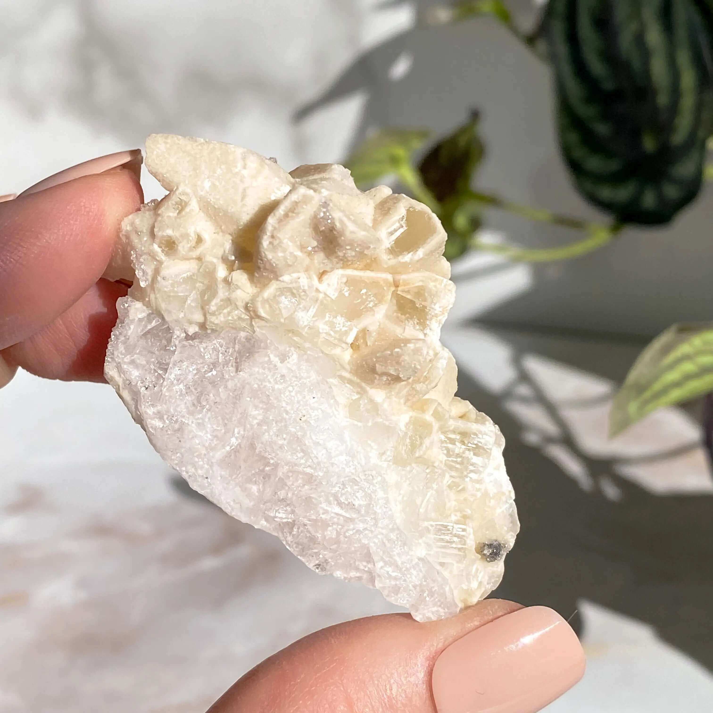 Druzy Pink Danburite with Calcite | Stock FF Mooncat Crystals