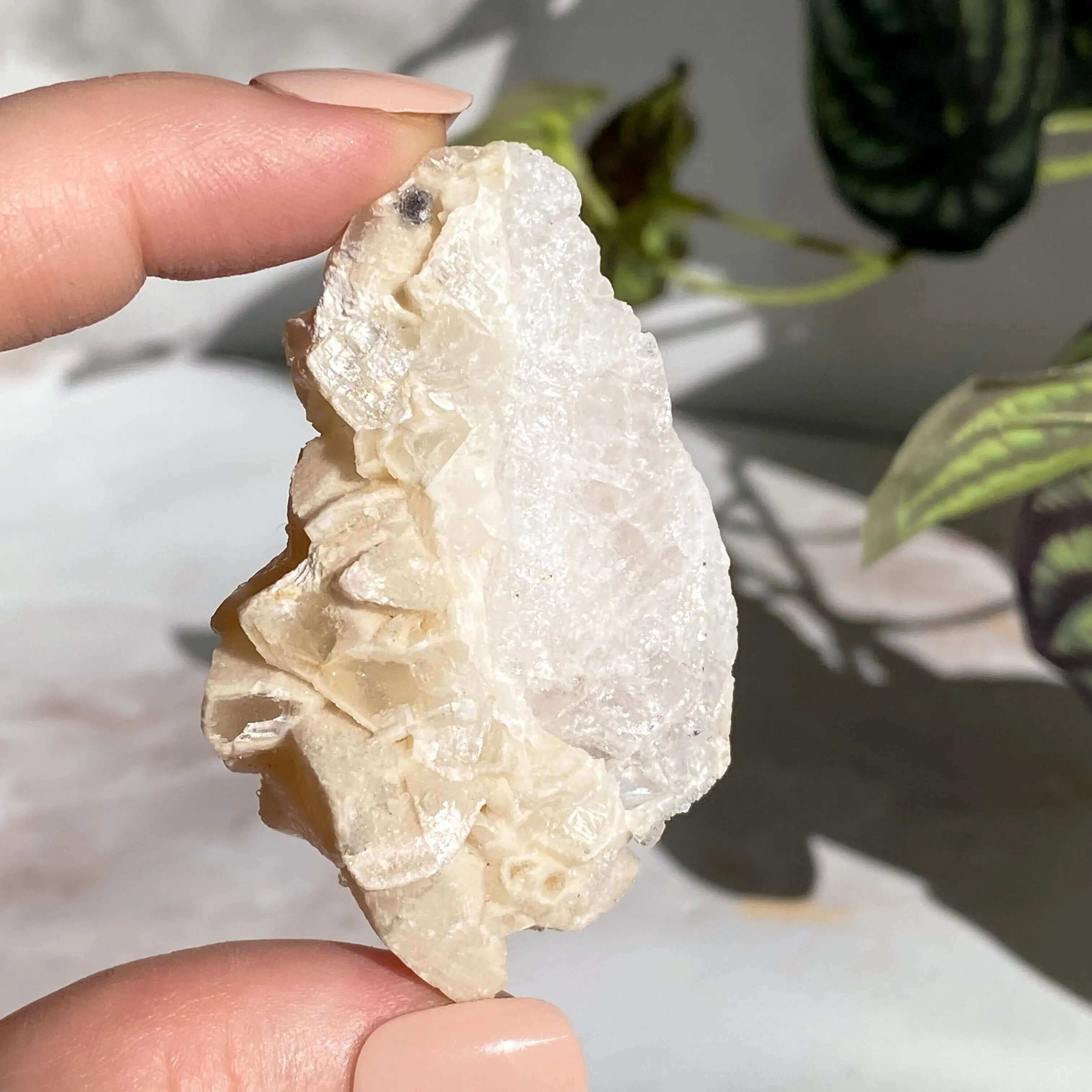 Druzy Pink Danburite with Calcite | Stock FF Mooncat Crystals