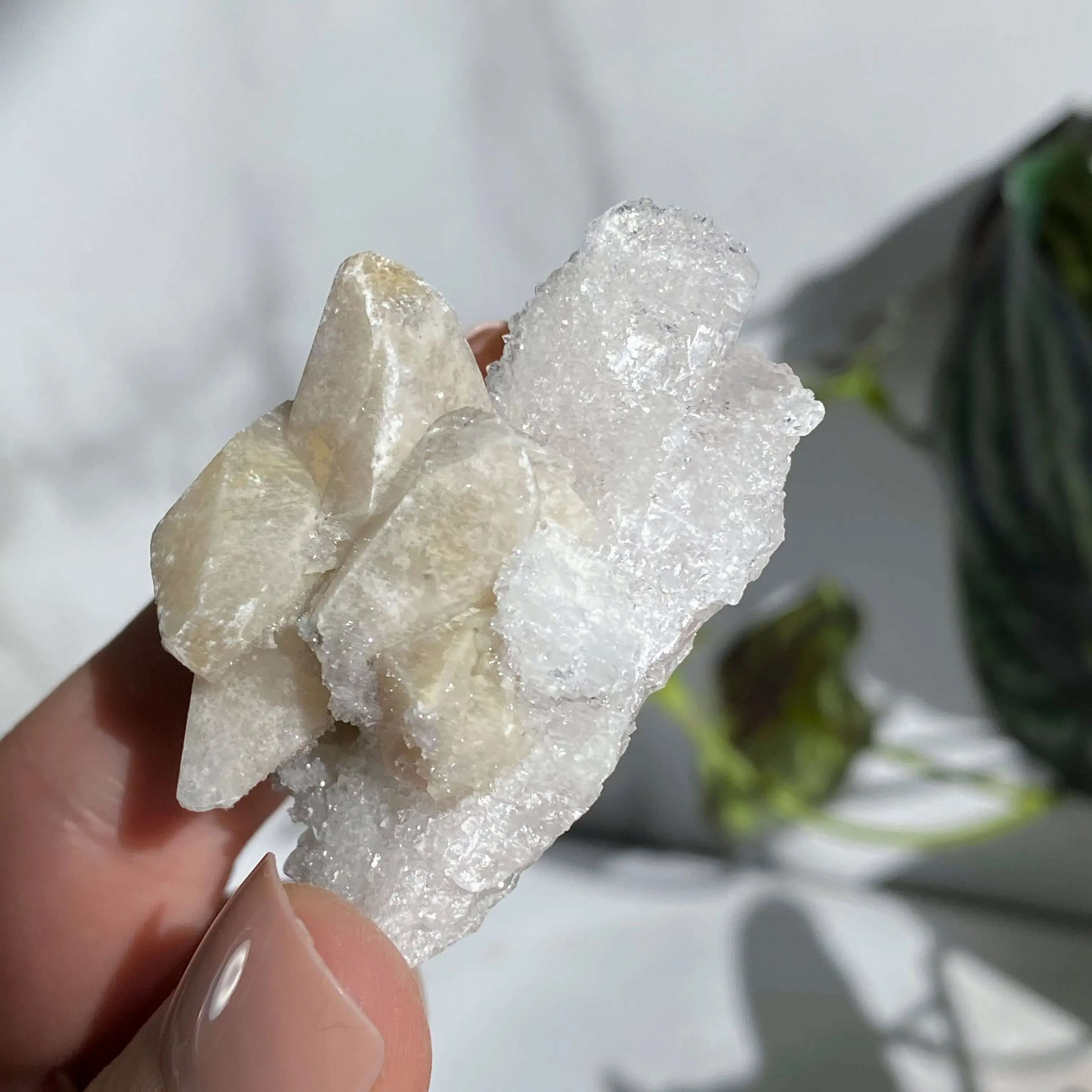 Druzy Pink Danburite with Calcite | Stock PP Mooncat Crystals