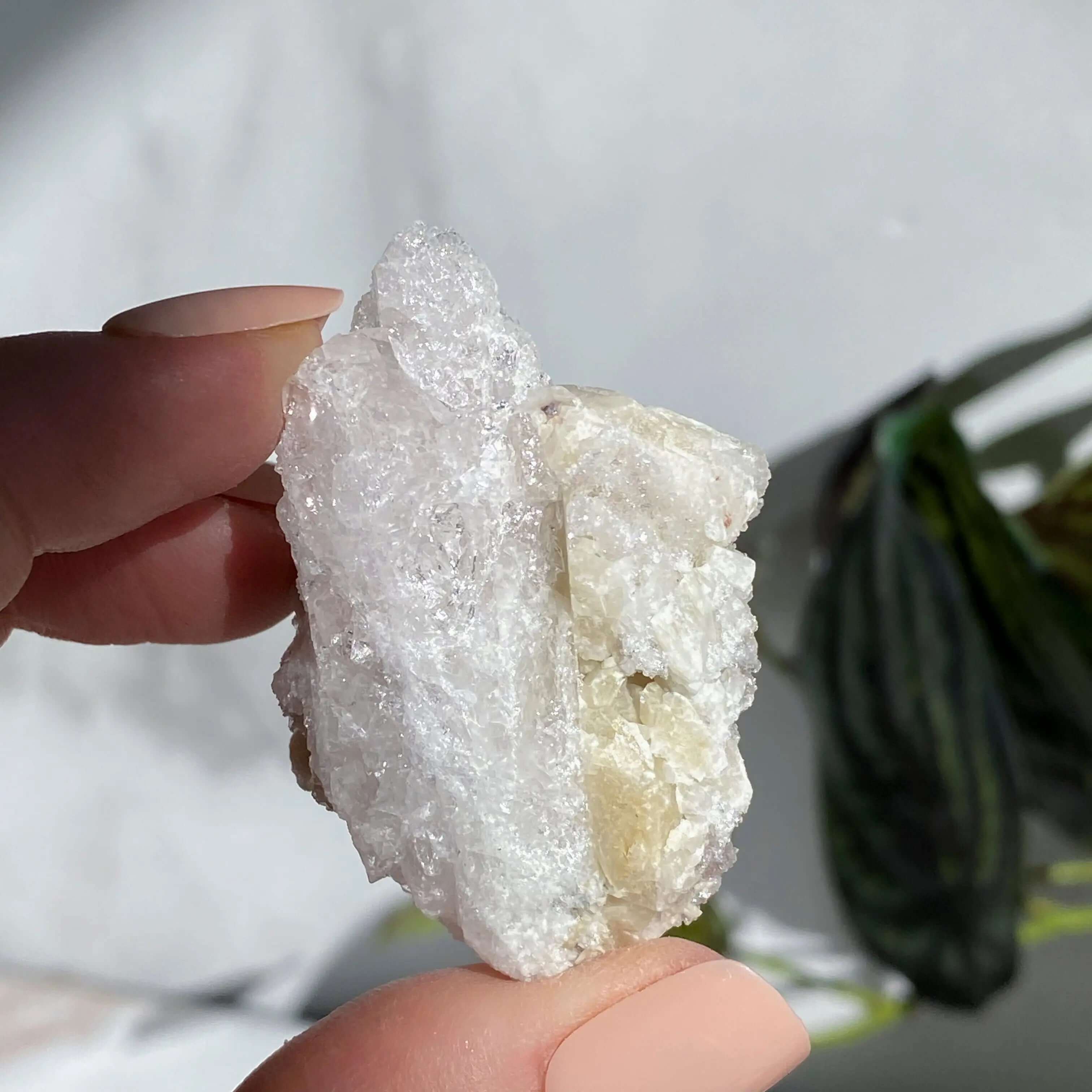 Druzy Pink Danburite with Calcite | Stock PP Mooncat Crystals