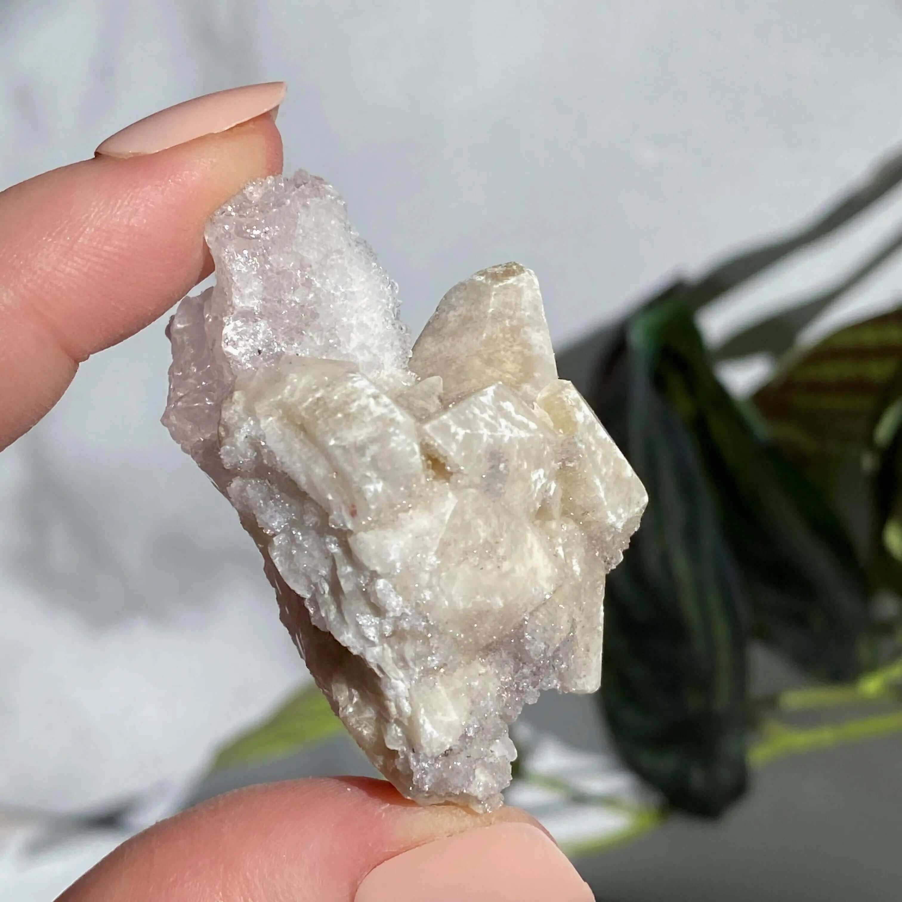 Druzy Pink Danburite with Calcite | Stock PP Mooncat Crystals