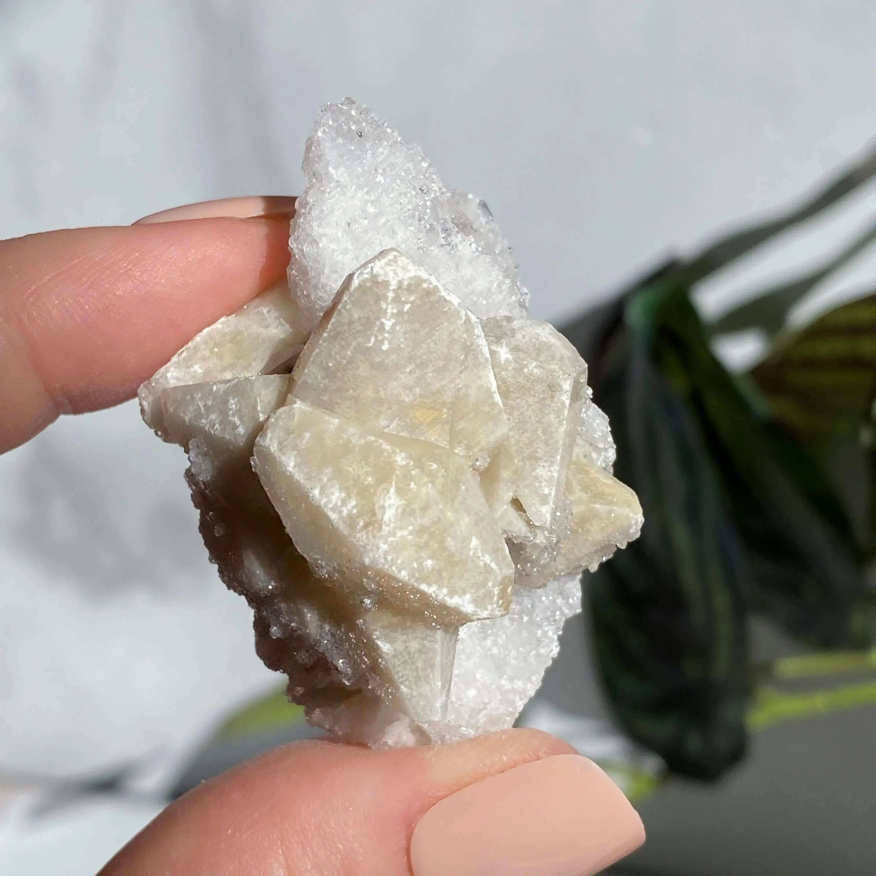 Druzy Pink Danburite with Calcite | Stock PP Mooncat Crystals