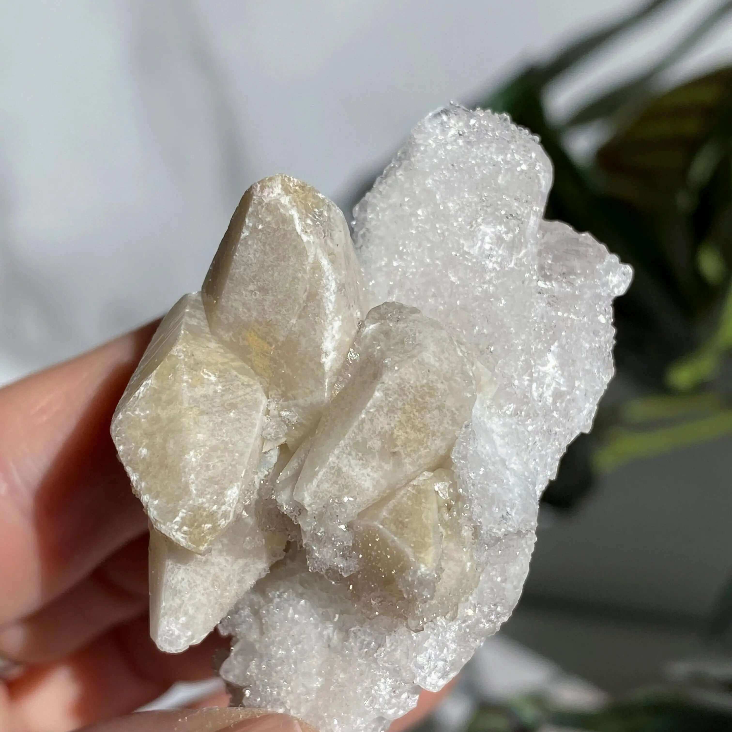 Druzy Pink Danburite with Calcite | Stock PP Mooncat Crystals