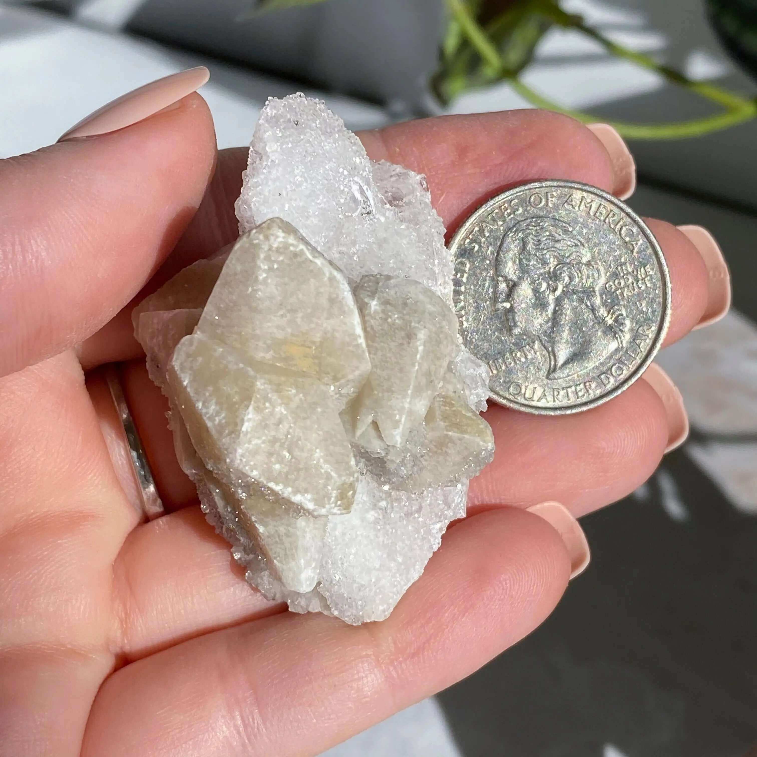 Druzy Pink Danburite with Calcite | Stock PP Mooncat Crystals