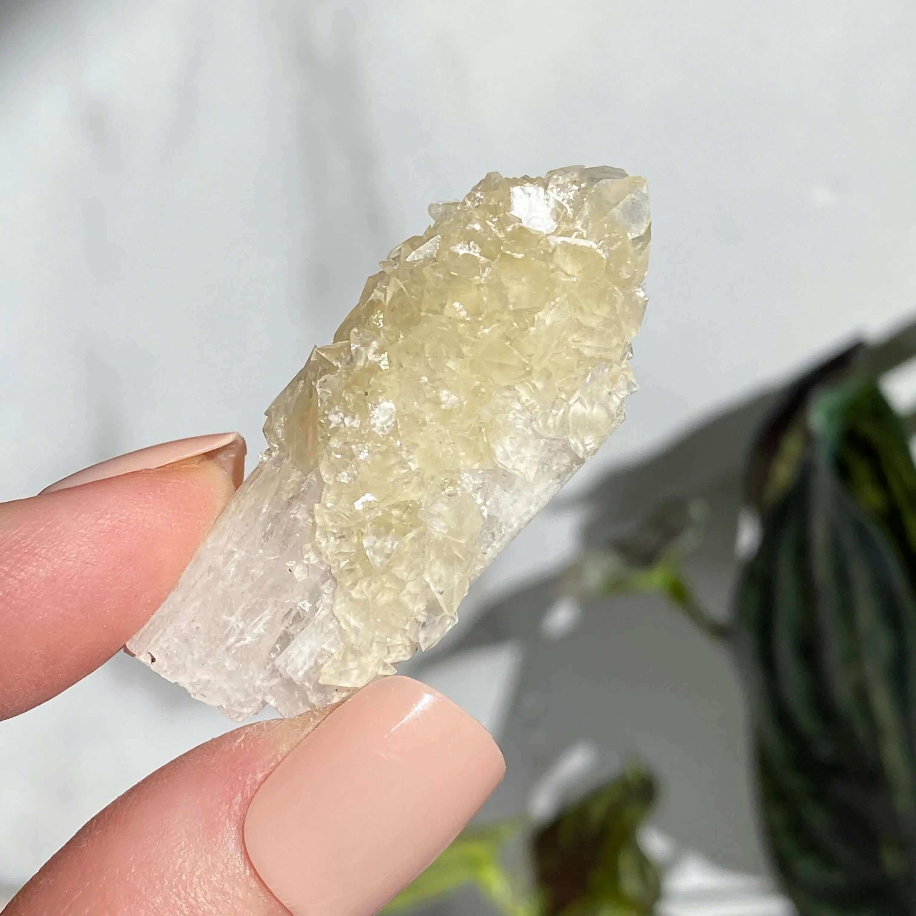 Druzy Pink Danburite with UV-Reactive Calcite | Stock QQ Mooncat Crystals