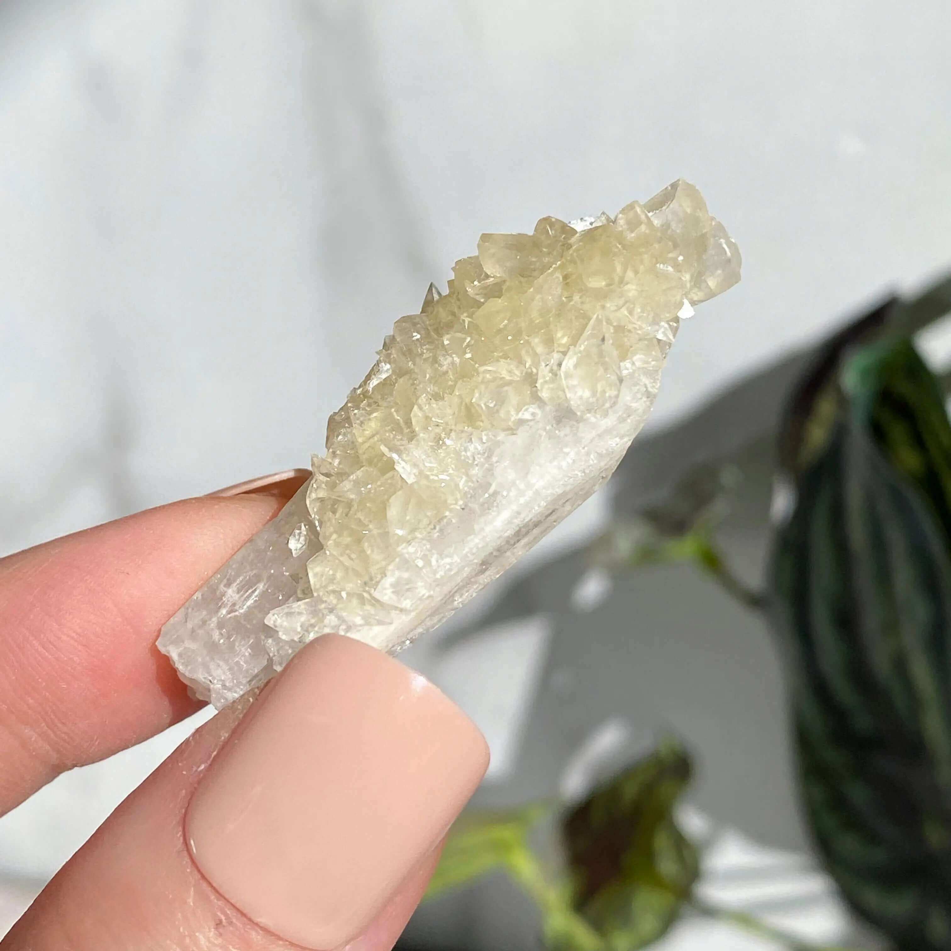 Druzy Pink Danburite with UV-Reactive Calcite | Stock QQ Mooncat Crystals