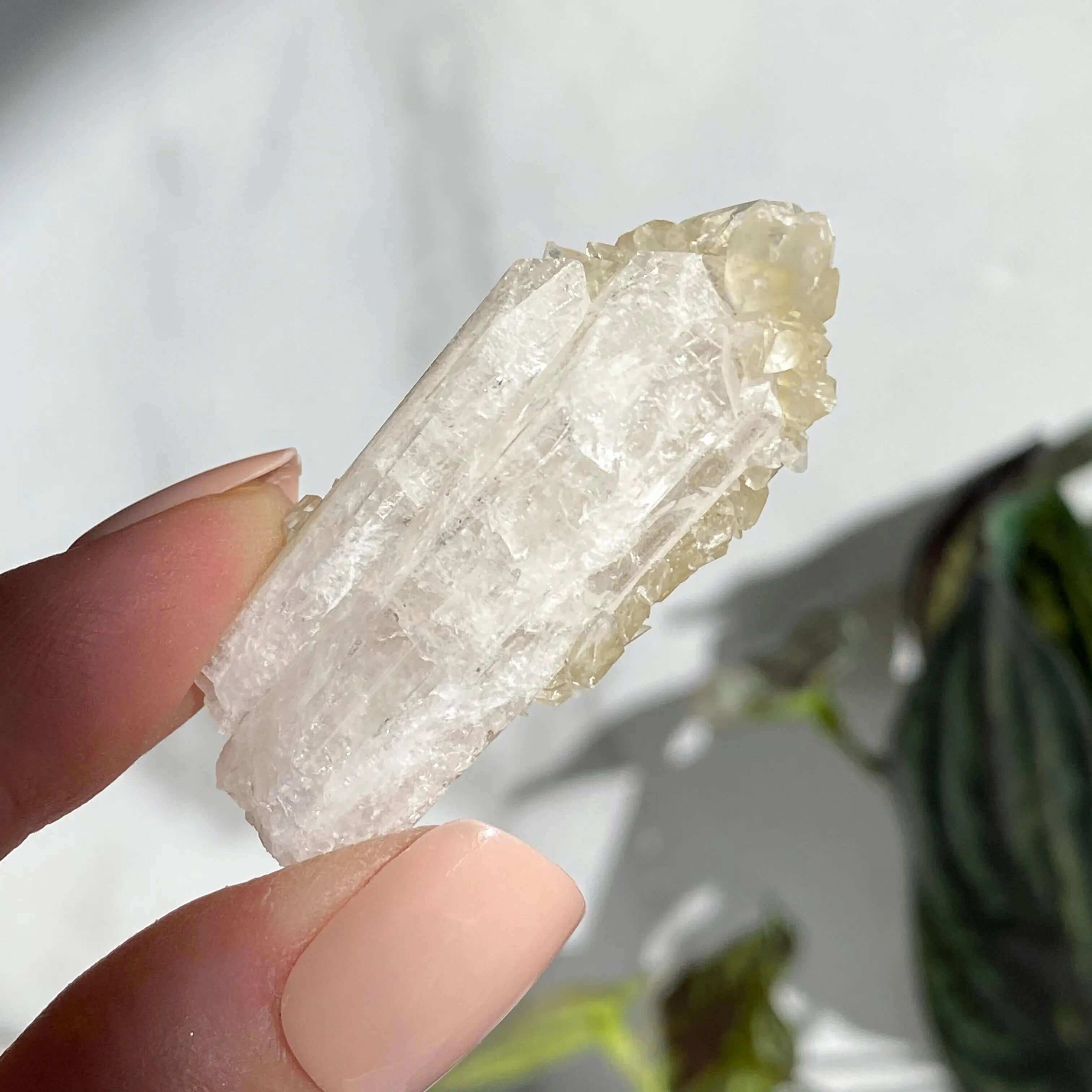 Druzy Pink Danburite with UV-Reactive Calcite | Stock QQ Mooncat Crystals