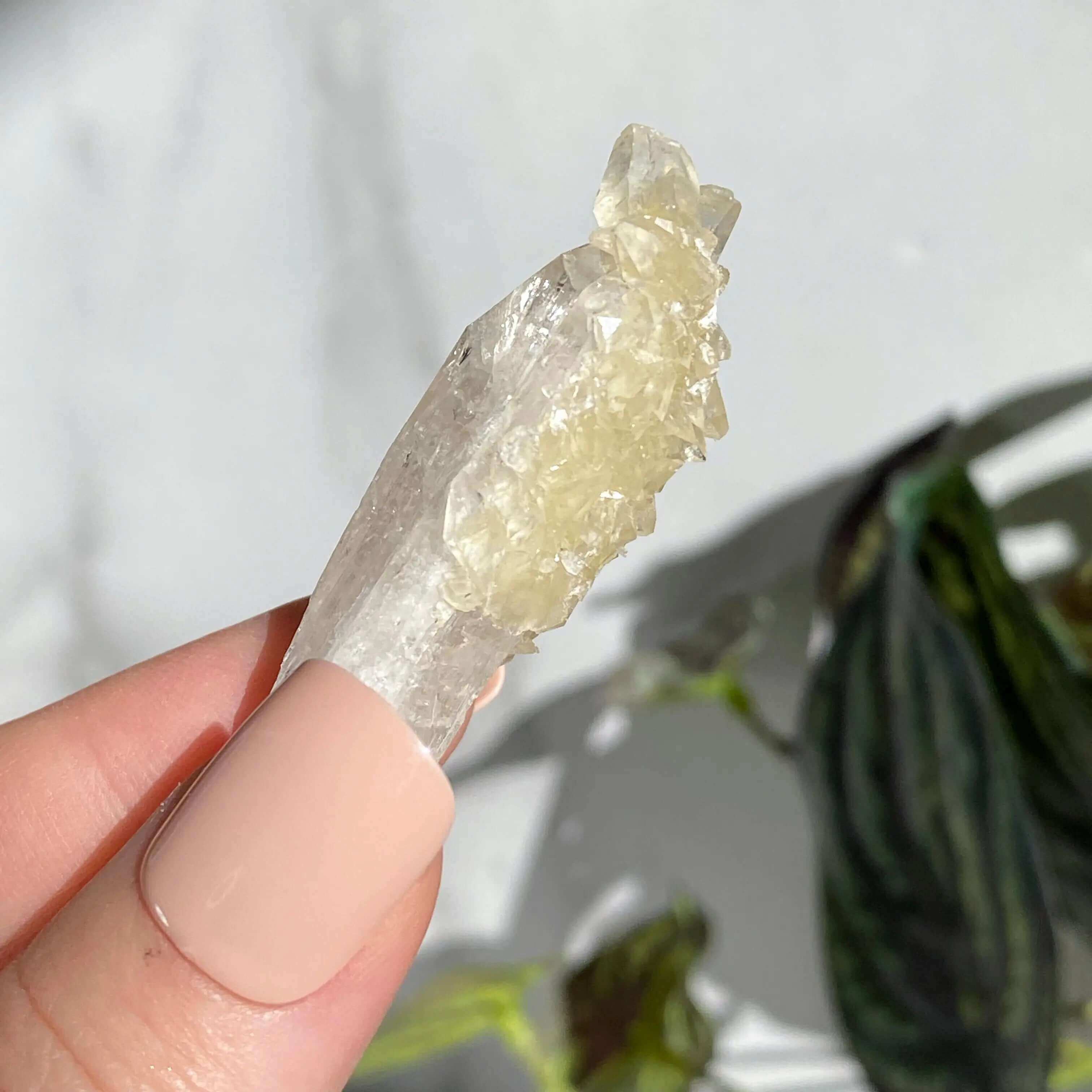 Druzy Pink Danburite with UV-Reactive Calcite | Stock QQ Mooncat Crystals