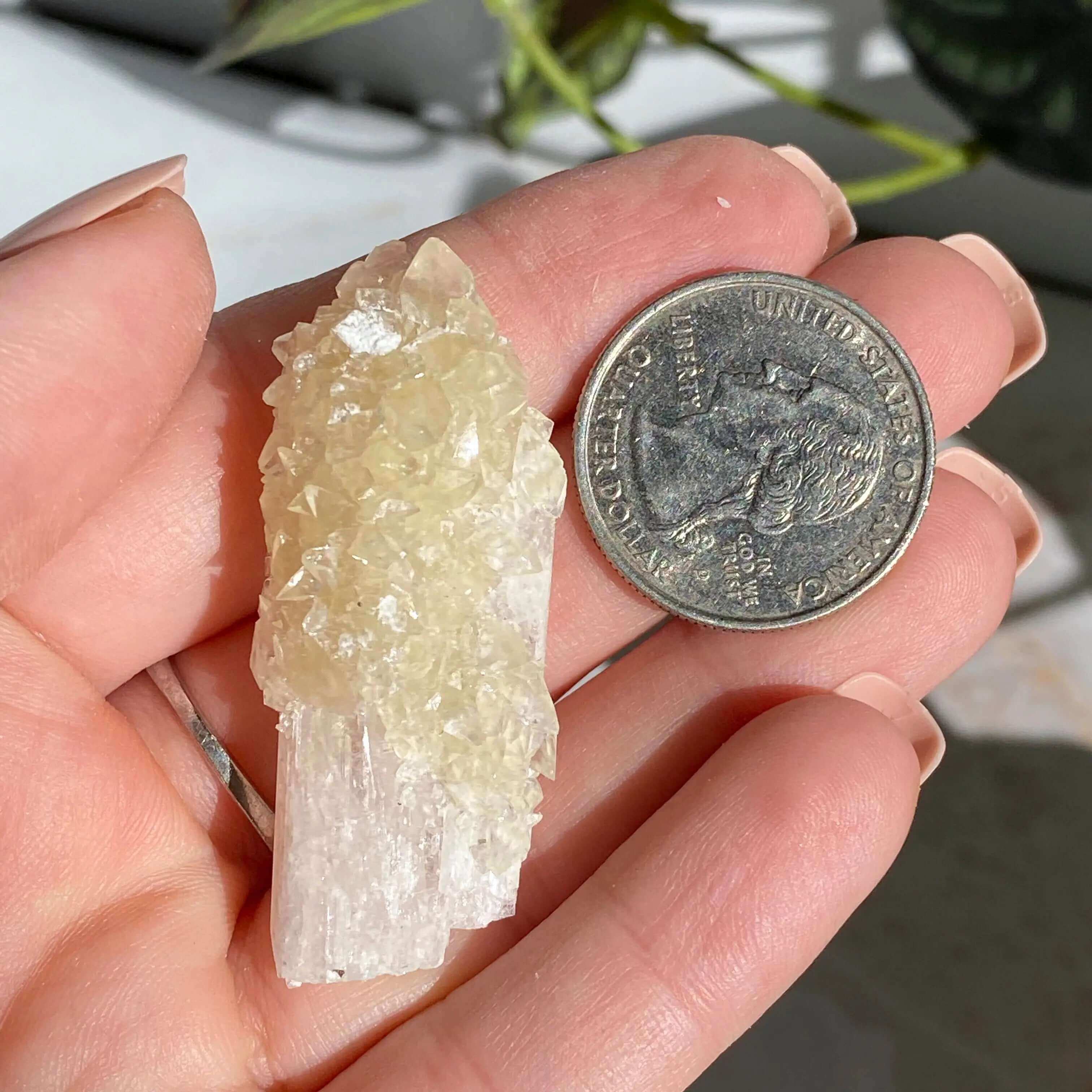 Druzy Pink Danburite with UV-Reactive Calcite | Stock QQ Mooncat Crystals