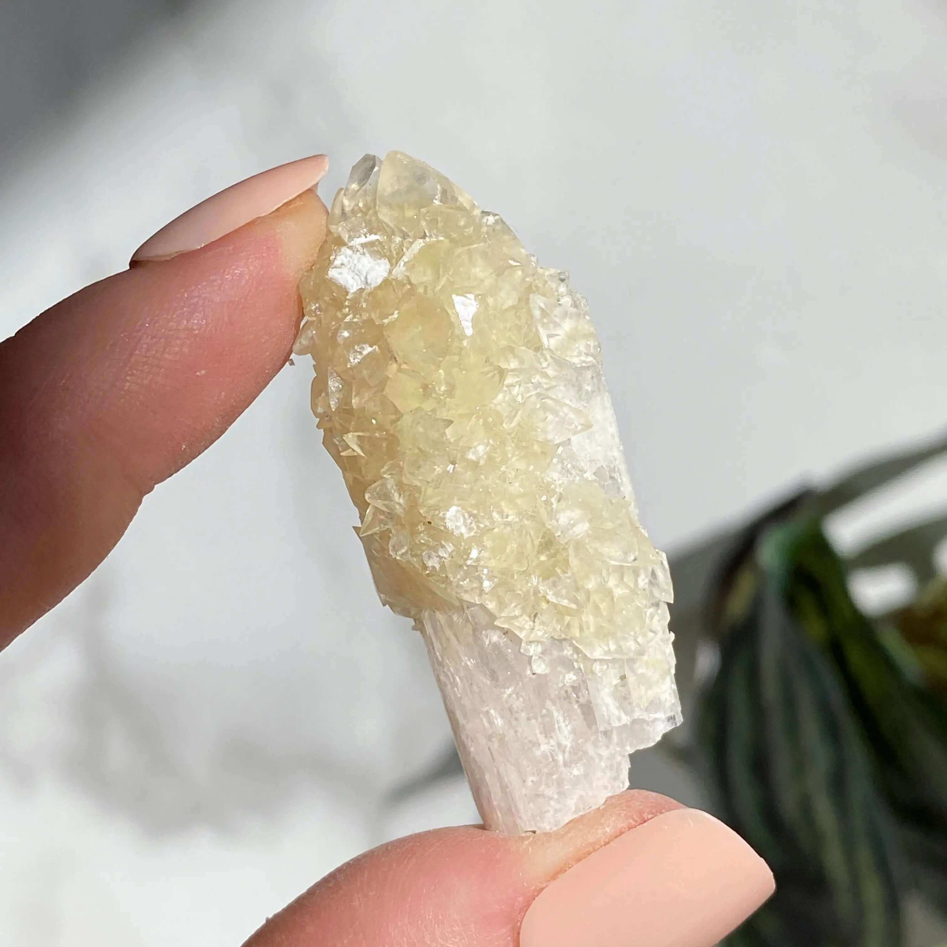 Druzy Pink Danburite with UV-Reactive Calcite | Stock QQ Mooncat Crystals