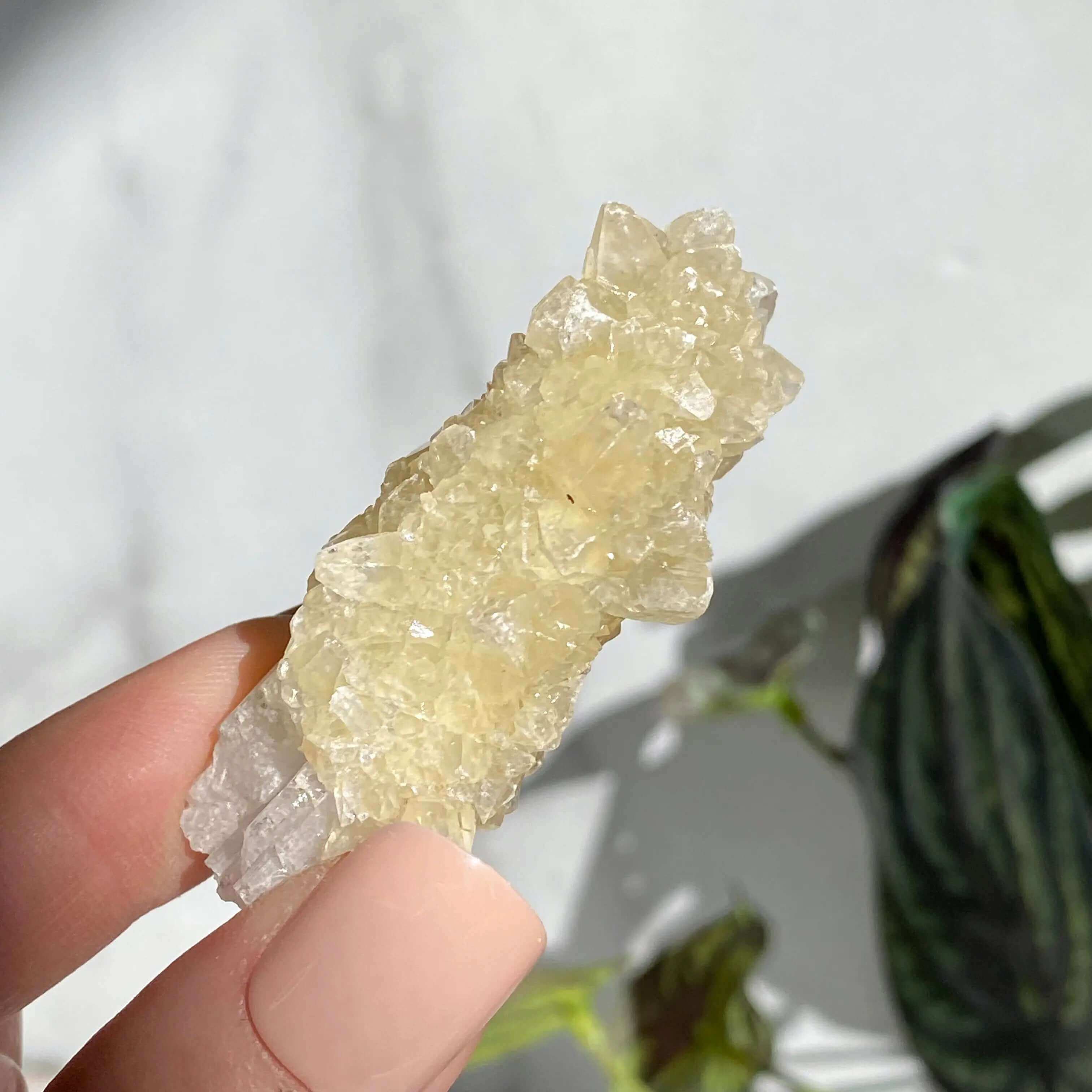 Druzy Pink Danburite with UV-Reactive Calcite | Stock RR Mooncat Crystals