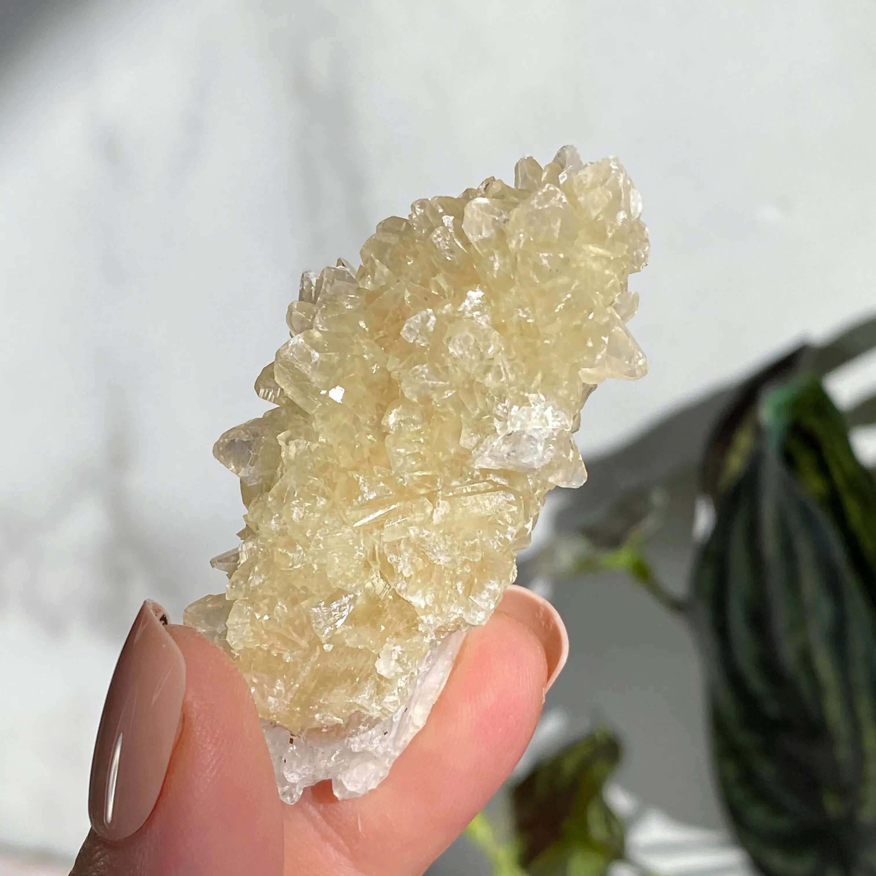 Druzy Pink Danburite with UV-Reactive Calcite | Stock RR Mooncat Crystals