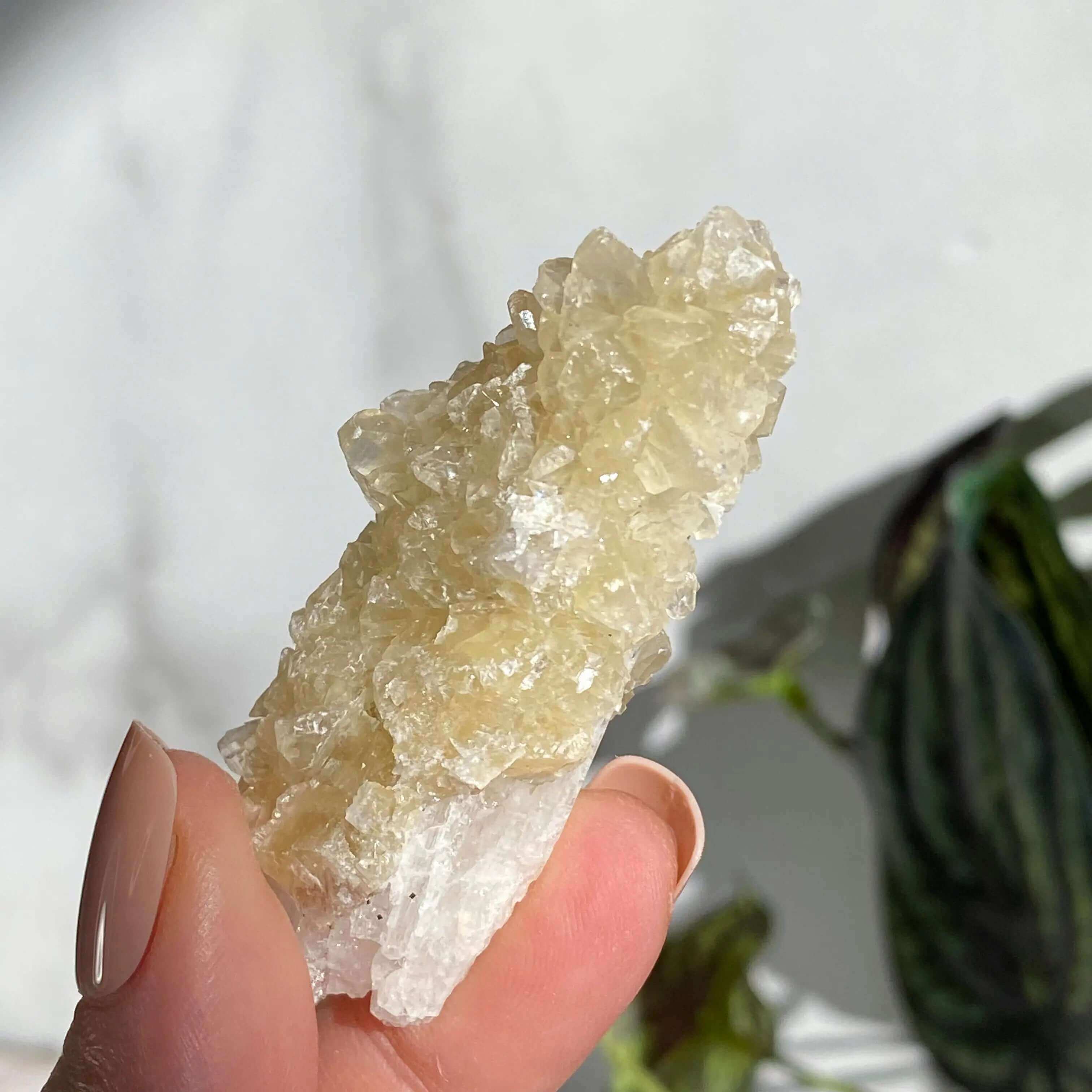 Druzy Pink Danburite with UV-Reactive Calcite | Stock RR Mooncat Crystals