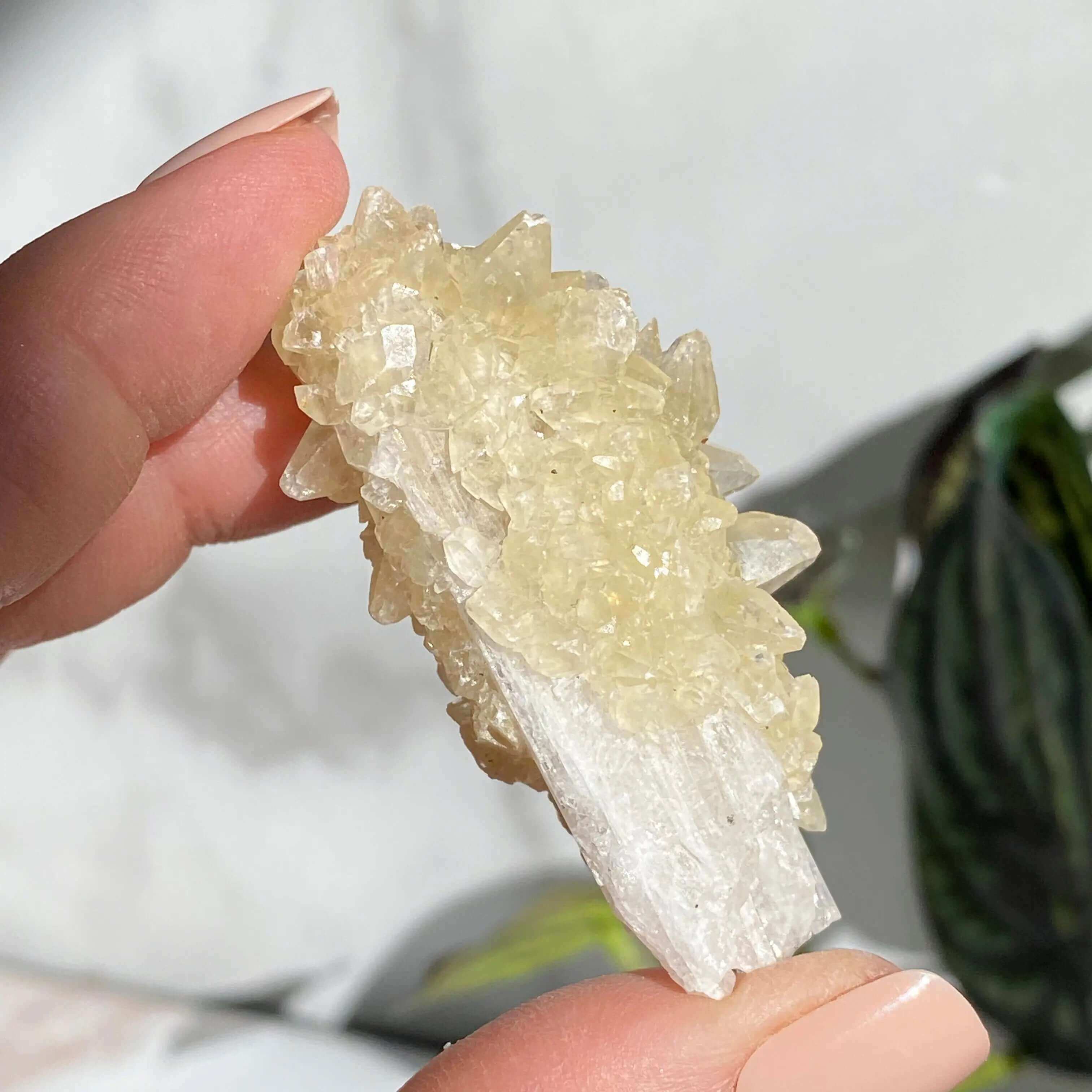 Druzy Pink Danburite with UV-Reactive Calcite | Stock RR Mooncat Crystals