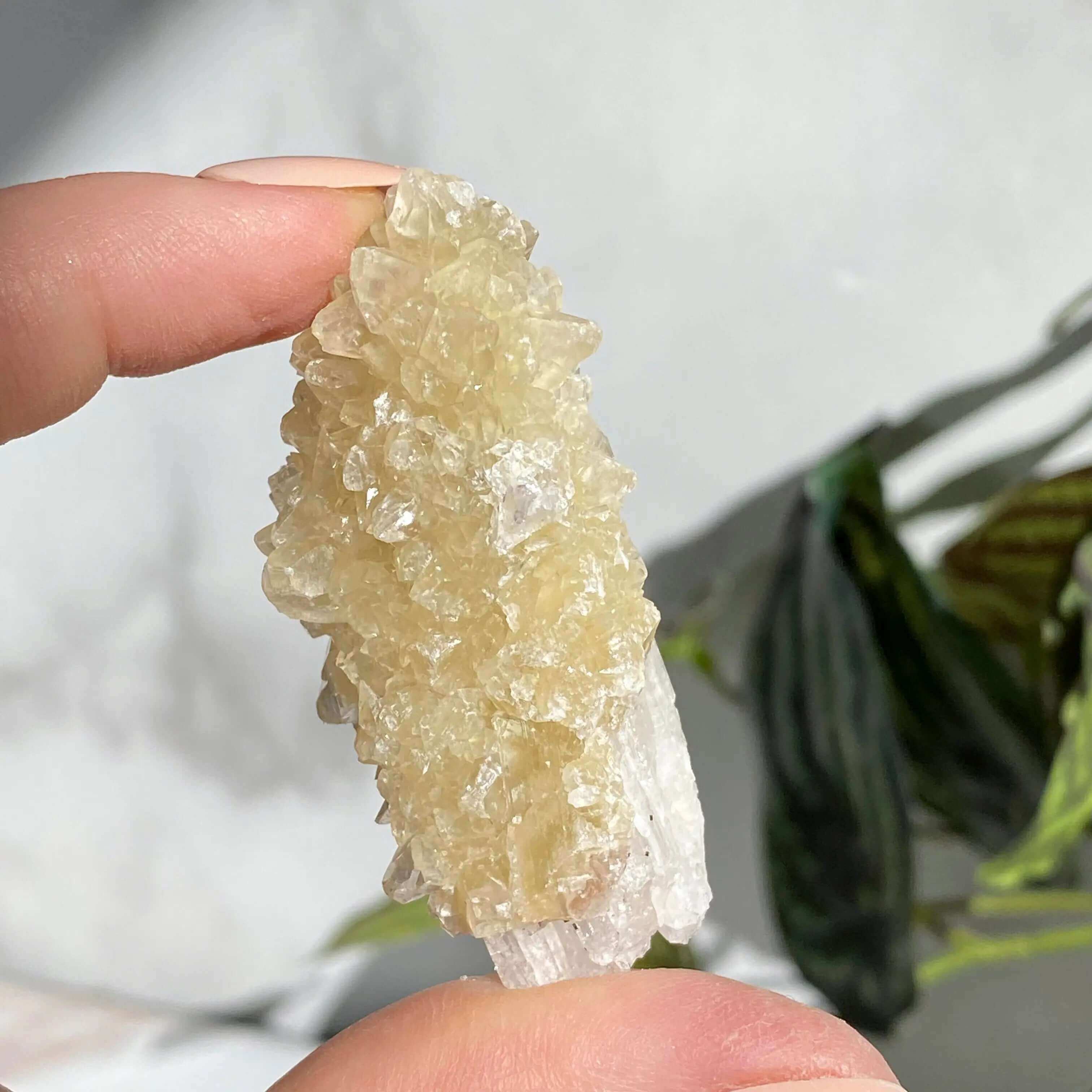 Druzy Pink Danburite with UV-Reactive Calcite | Stock RR Mooncat Crystals