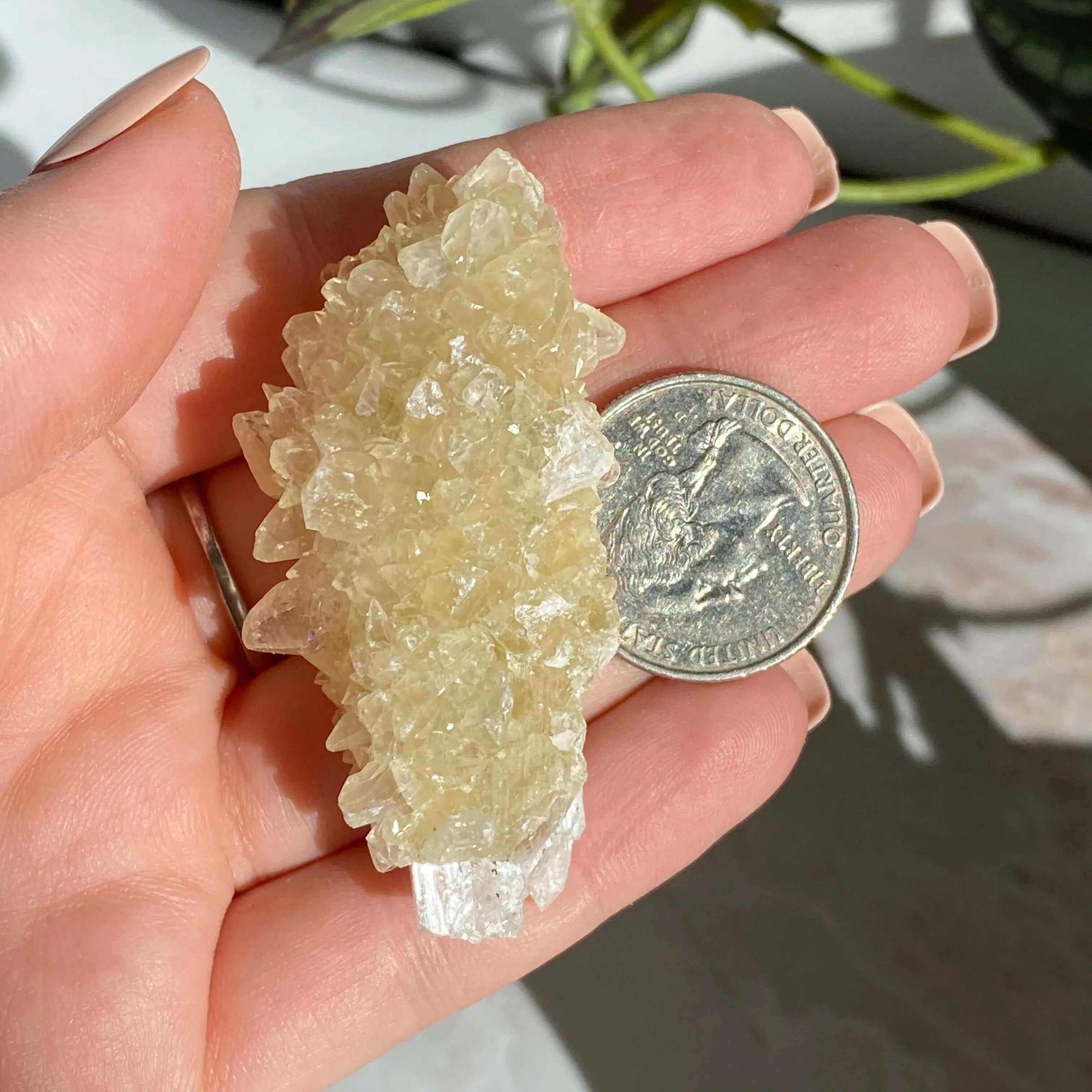 Druzy Pink Danburite with UV-Reactive Calcite | Stock RR Mooncat Crystals