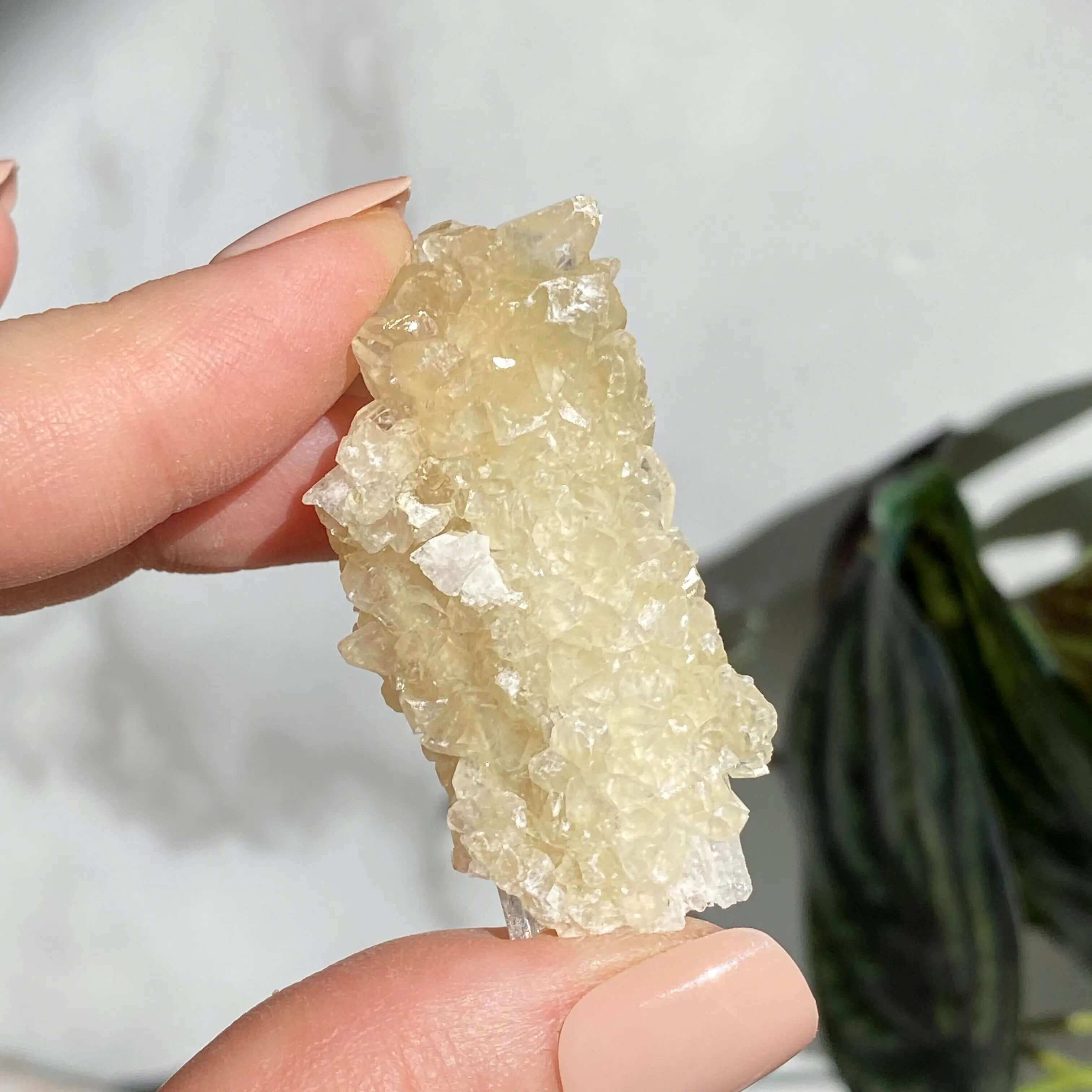 Druzy Pink Danburite with UV-Reactive Calcite | Stock SS Mooncat Crystals