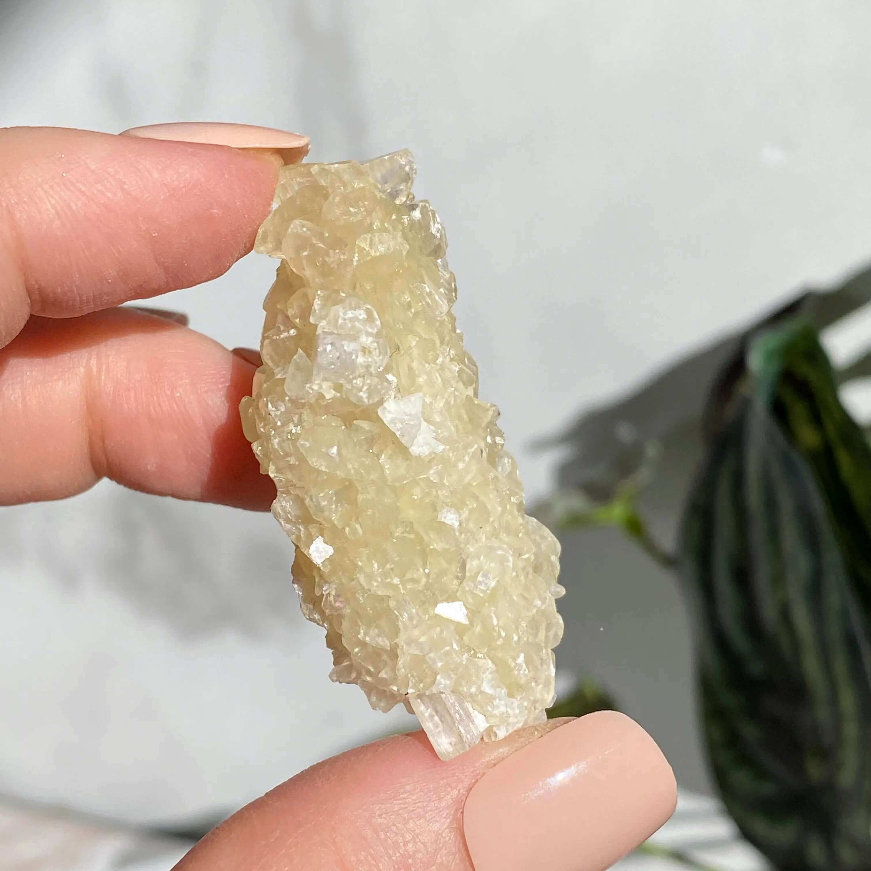 Druzy Pink Danburite with UV-Reactive Calcite | Stock SS Mooncat Crystals