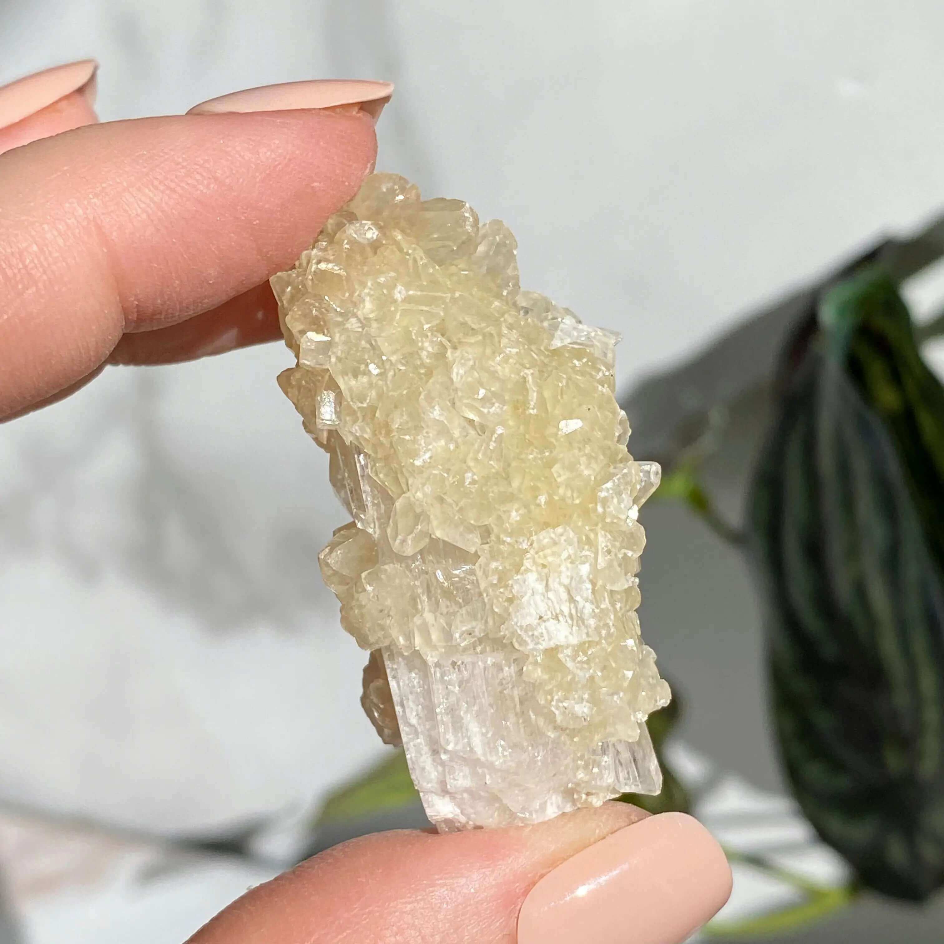 Druzy Pink Danburite with UV-Reactive Calcite | Stock SS Mooncat Crystals