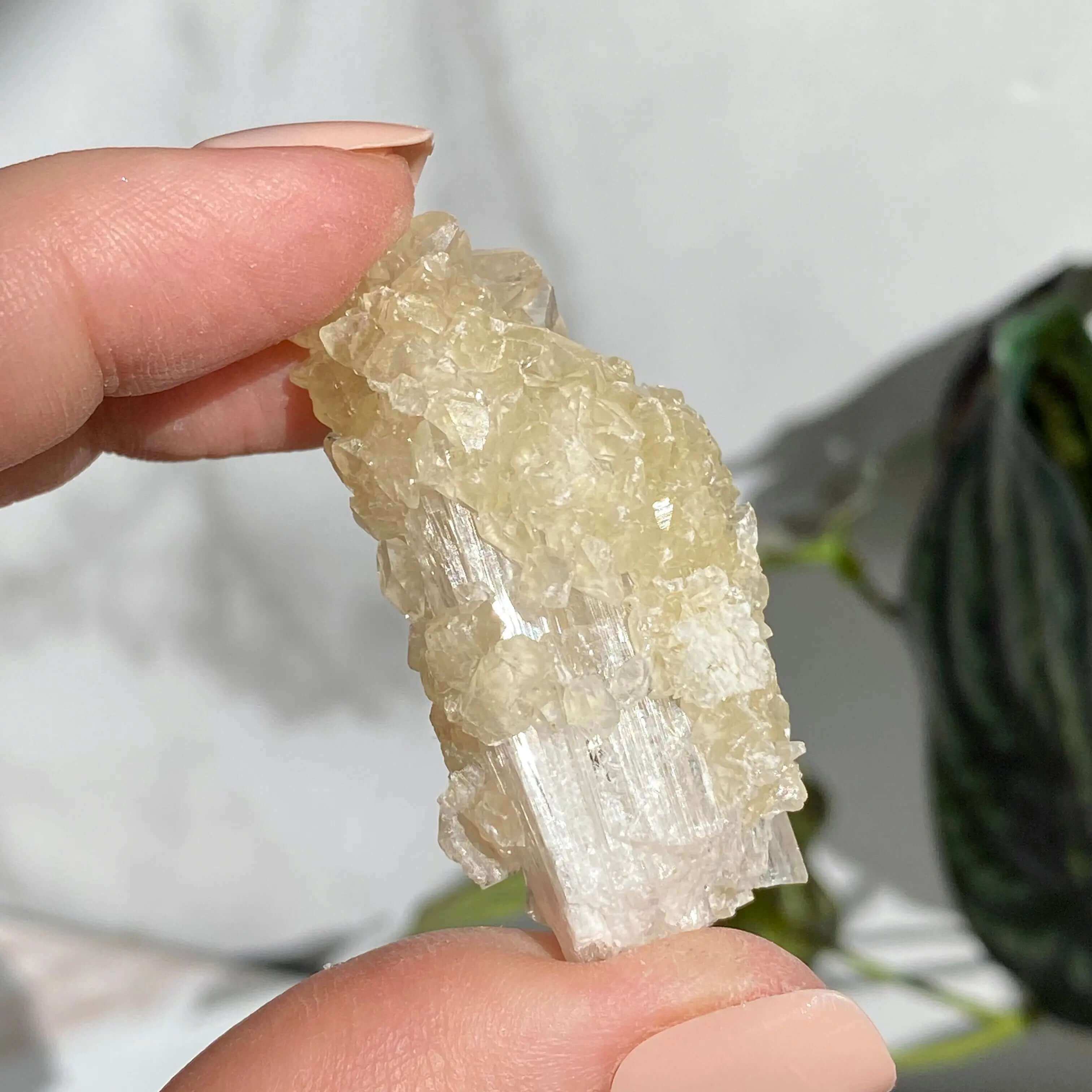 Druzy Pink Danburite with UV-Reactive Calcite | Stock SS Mooncat Crystals