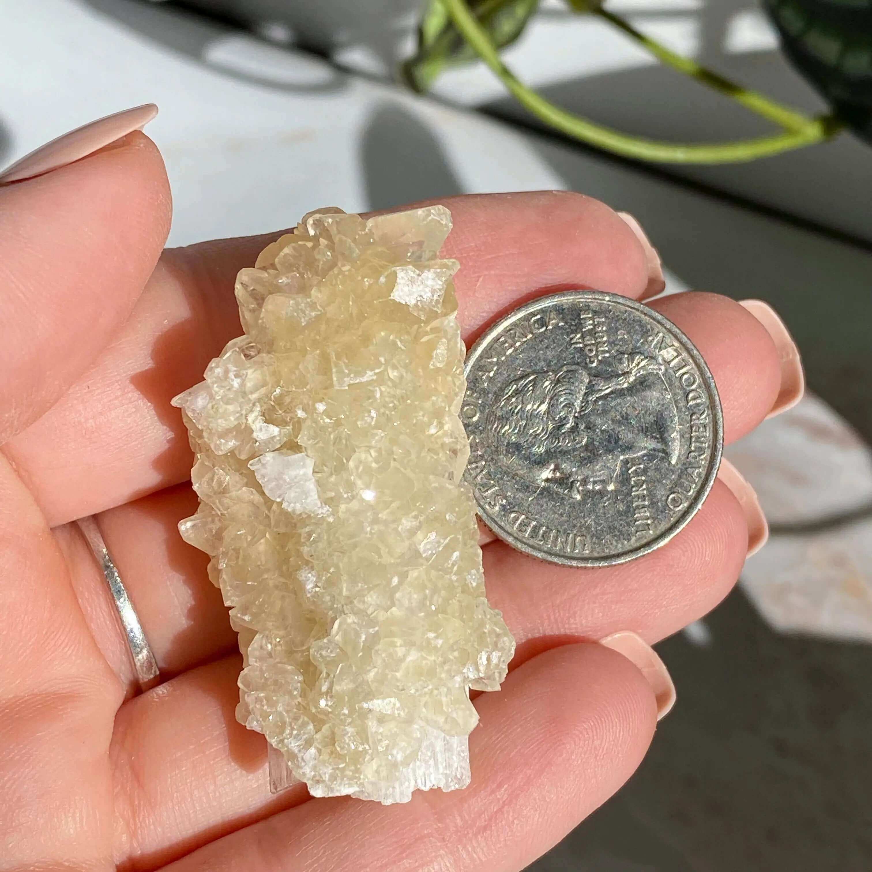 Druzy Pink Danburite with UV-Reactive Calcite | Stock SS Mooncat Crystals