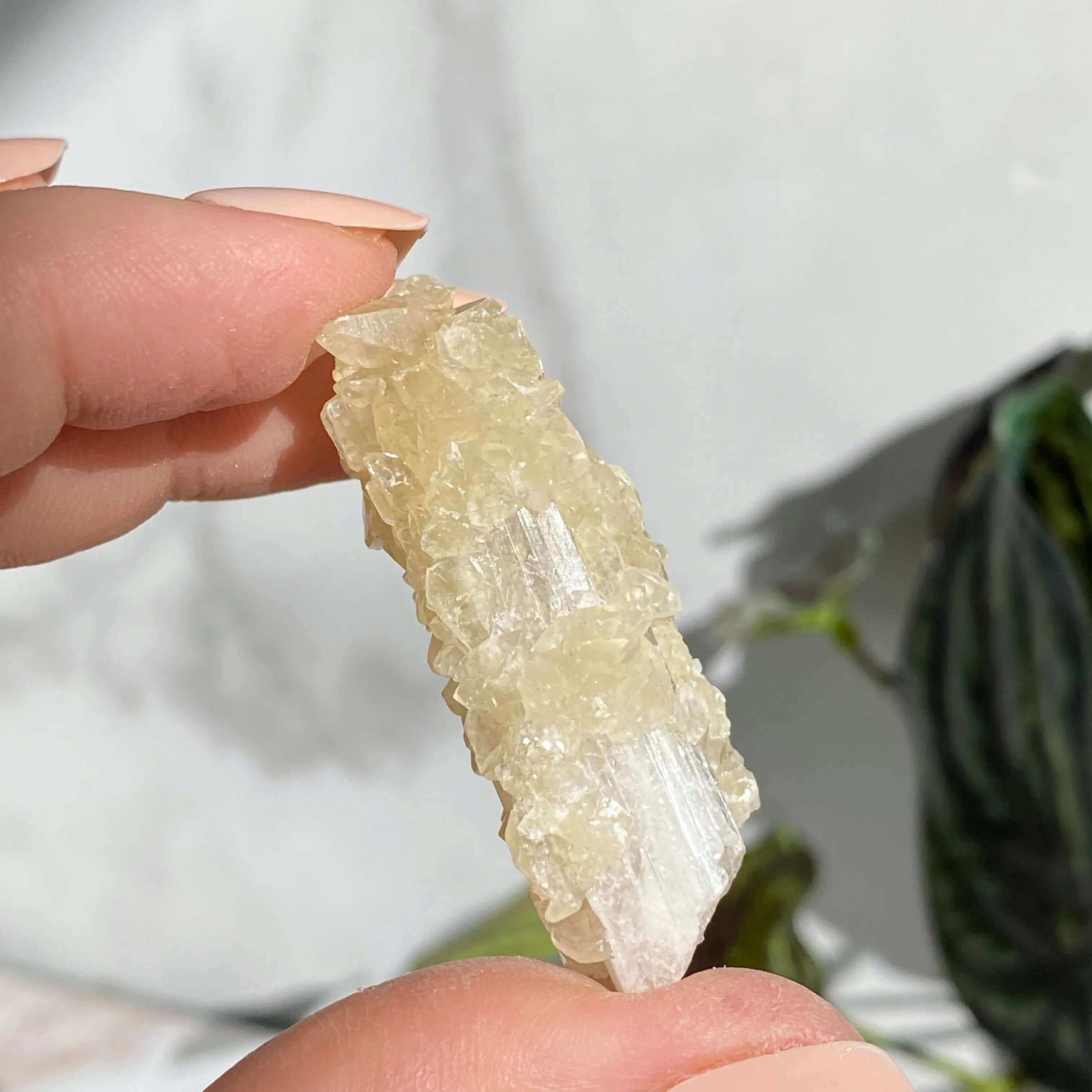 Druzy Pink Danburite with UV-Reactive Calcite | Stock SS Mooncat Crystals