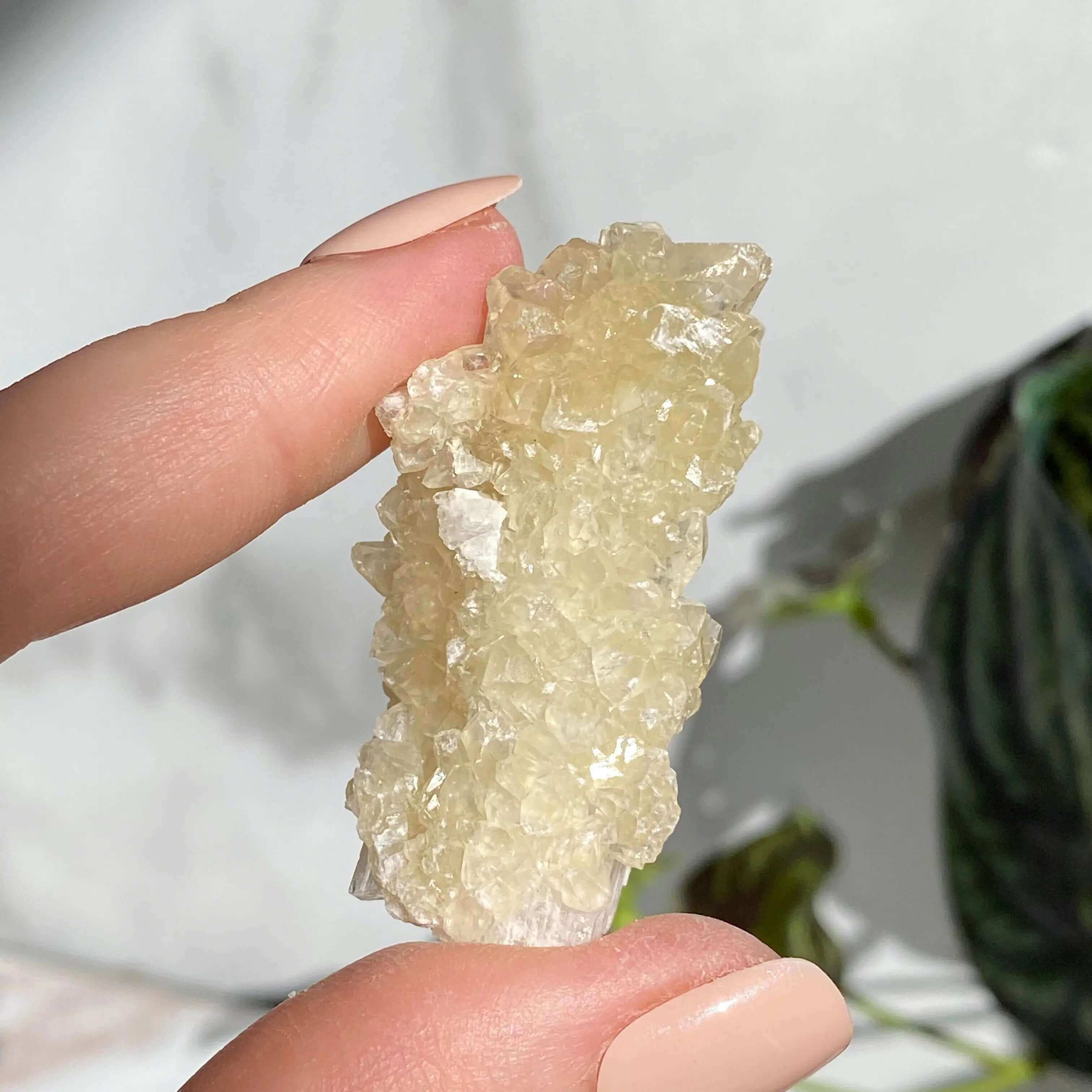 Druzy Pink Danburite with UV-Reactive Calcite | Stock SS Mooncat Crystals