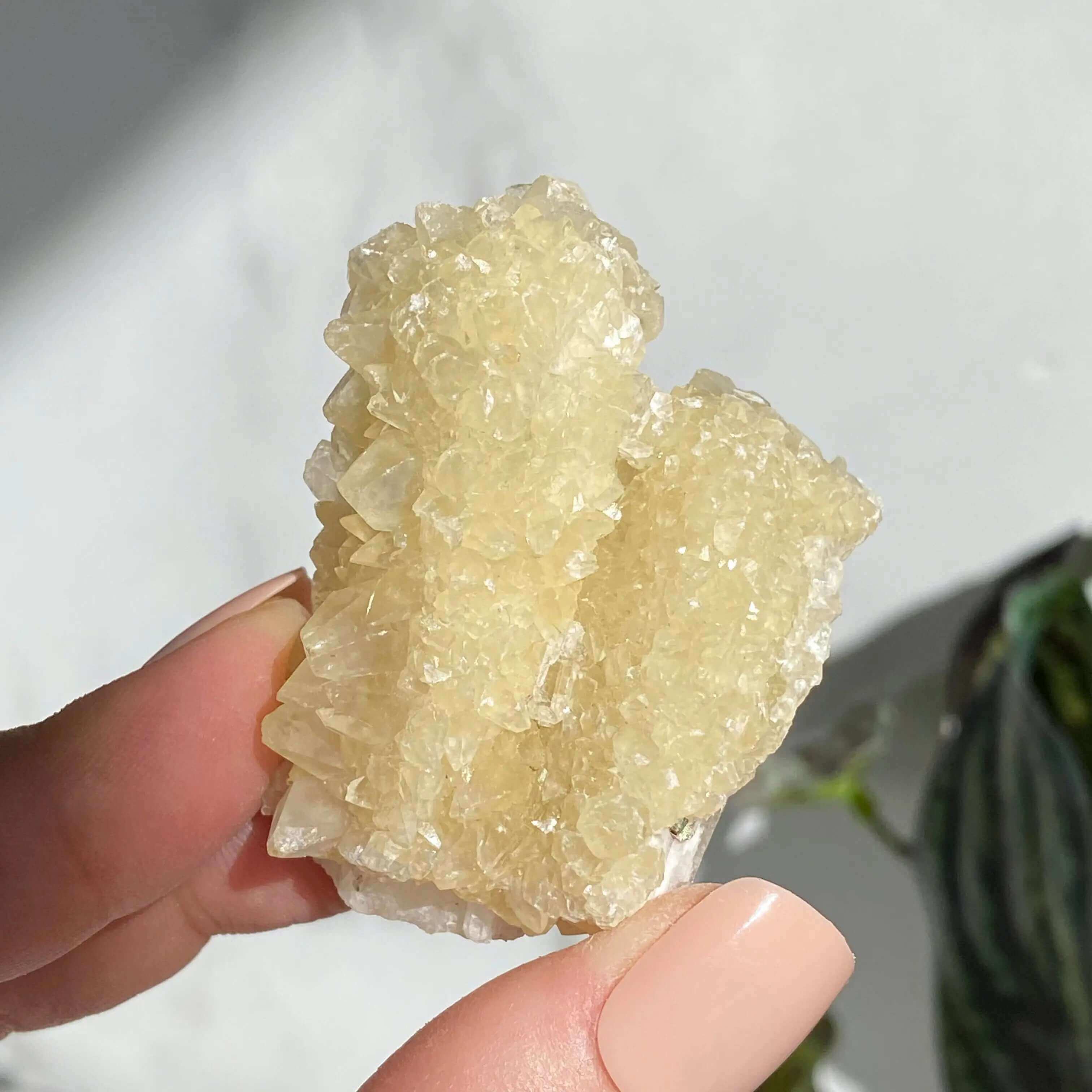 Druzy Pink Danburite with UV-Reactive Calcite | Stock TT Mooncat Crystals