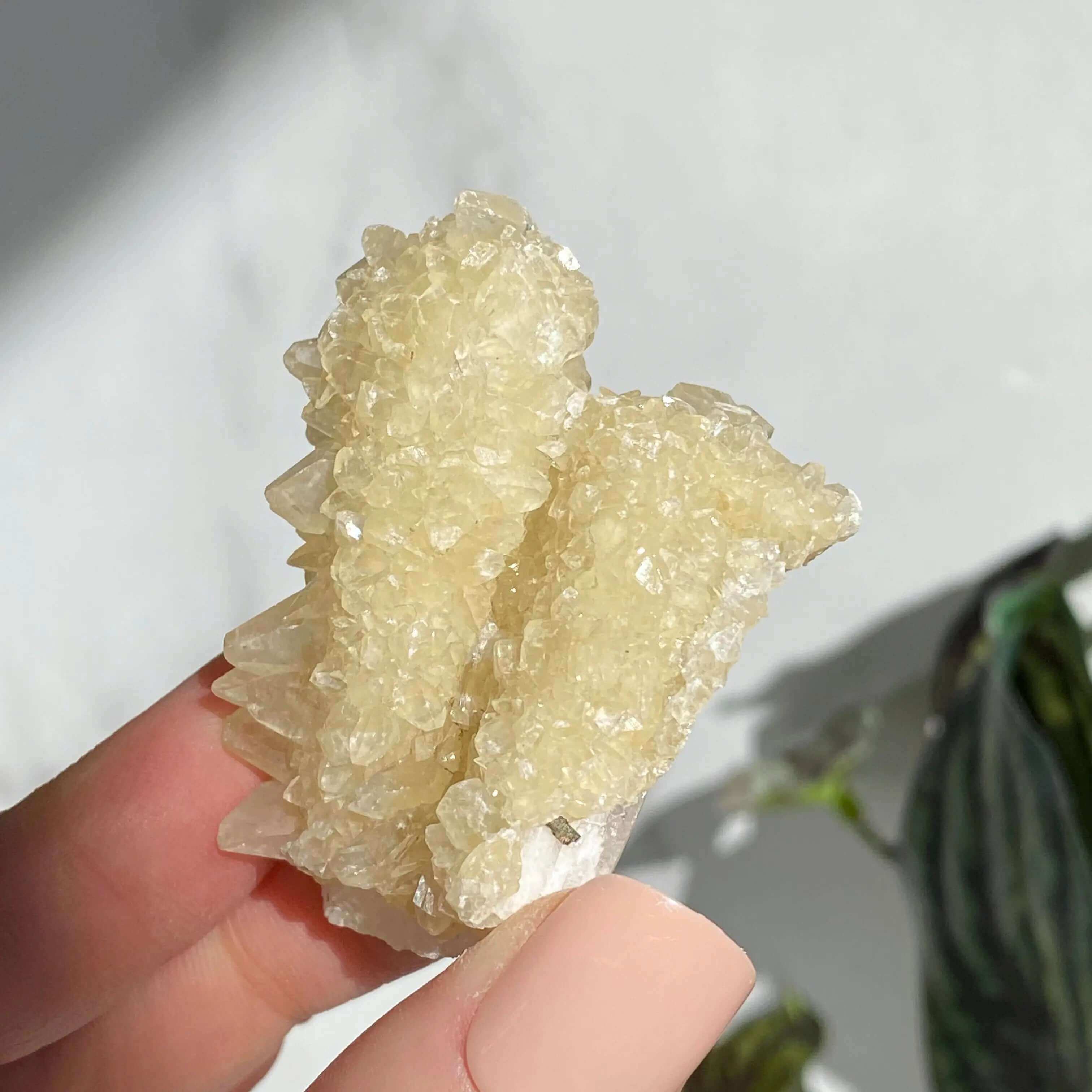 Druzy Pink Danburite with UV-Reactive Calcite | Stock TT Mooncat Crystals