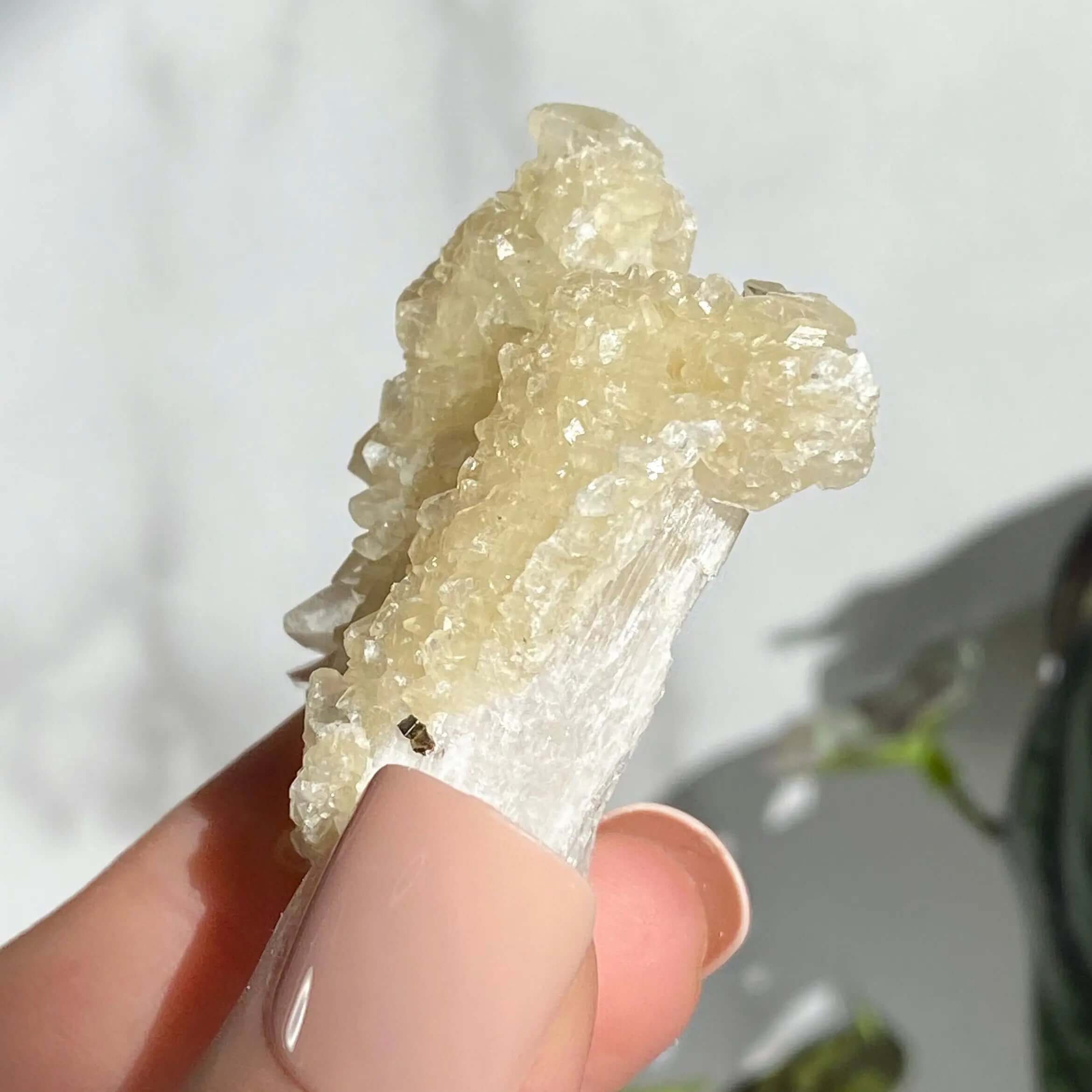 Druzy Pink Danburite with UV-Reactive Calcite | Stock TT Mooncat Crystals