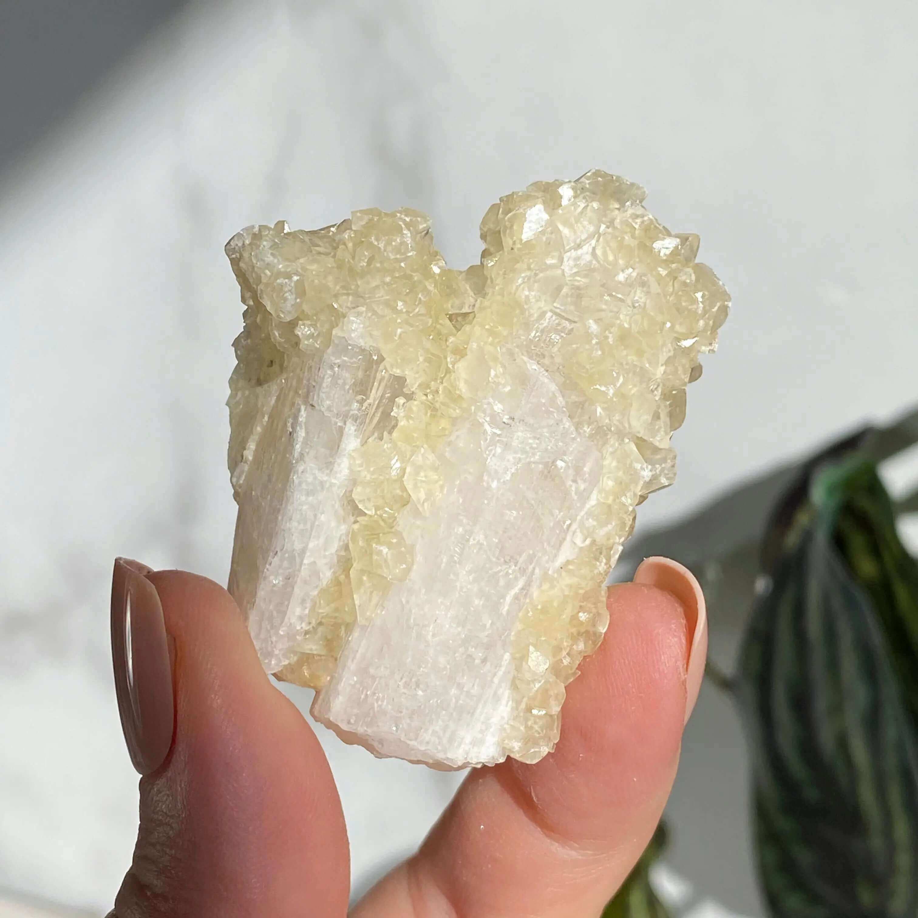 Druzy Pink Danburite with UV-Reactive Calcite | Stock TT Mooncat Crystals