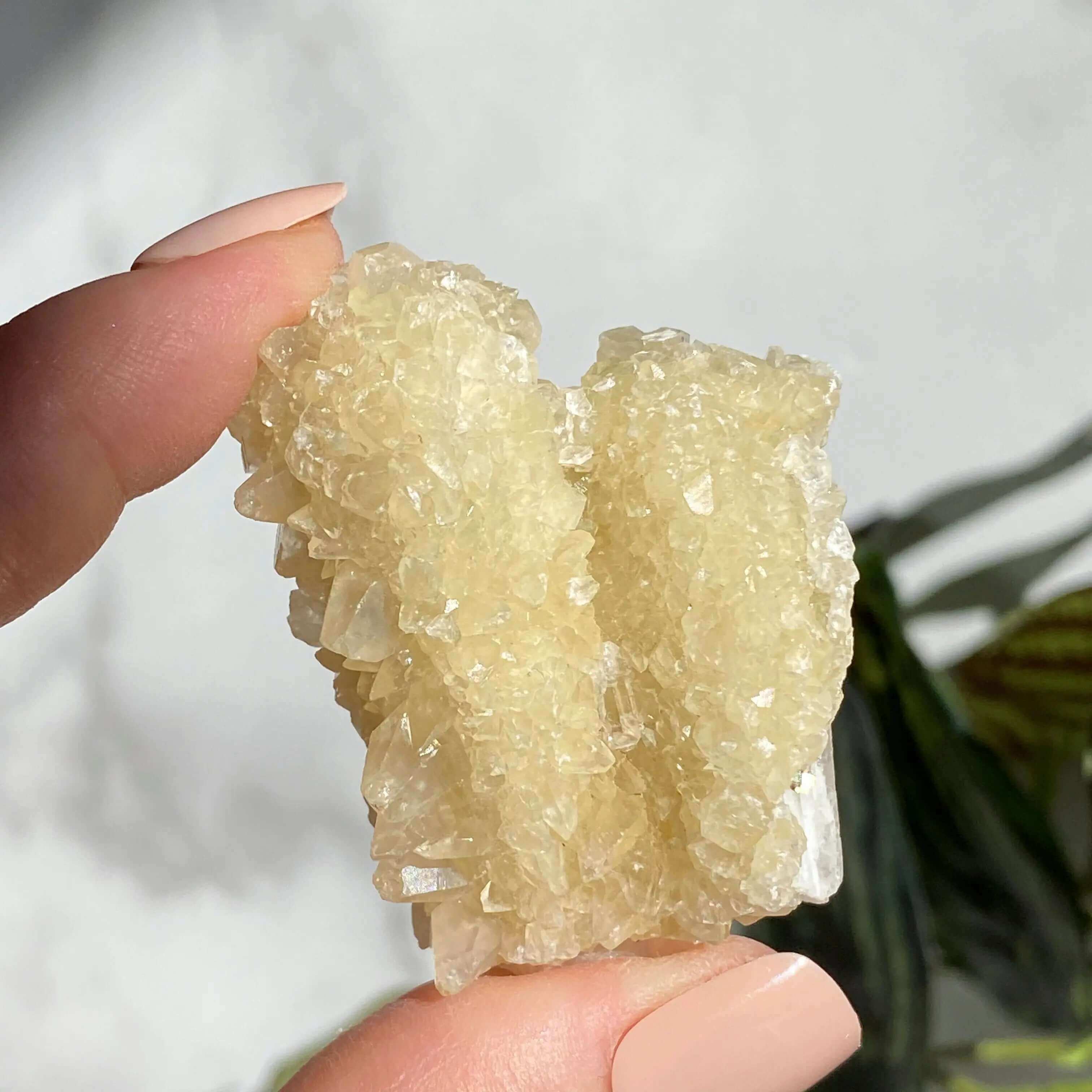 Druzy Pink Danburite with UV-Reactive Calcite | Stock TT Mooncat Crystals