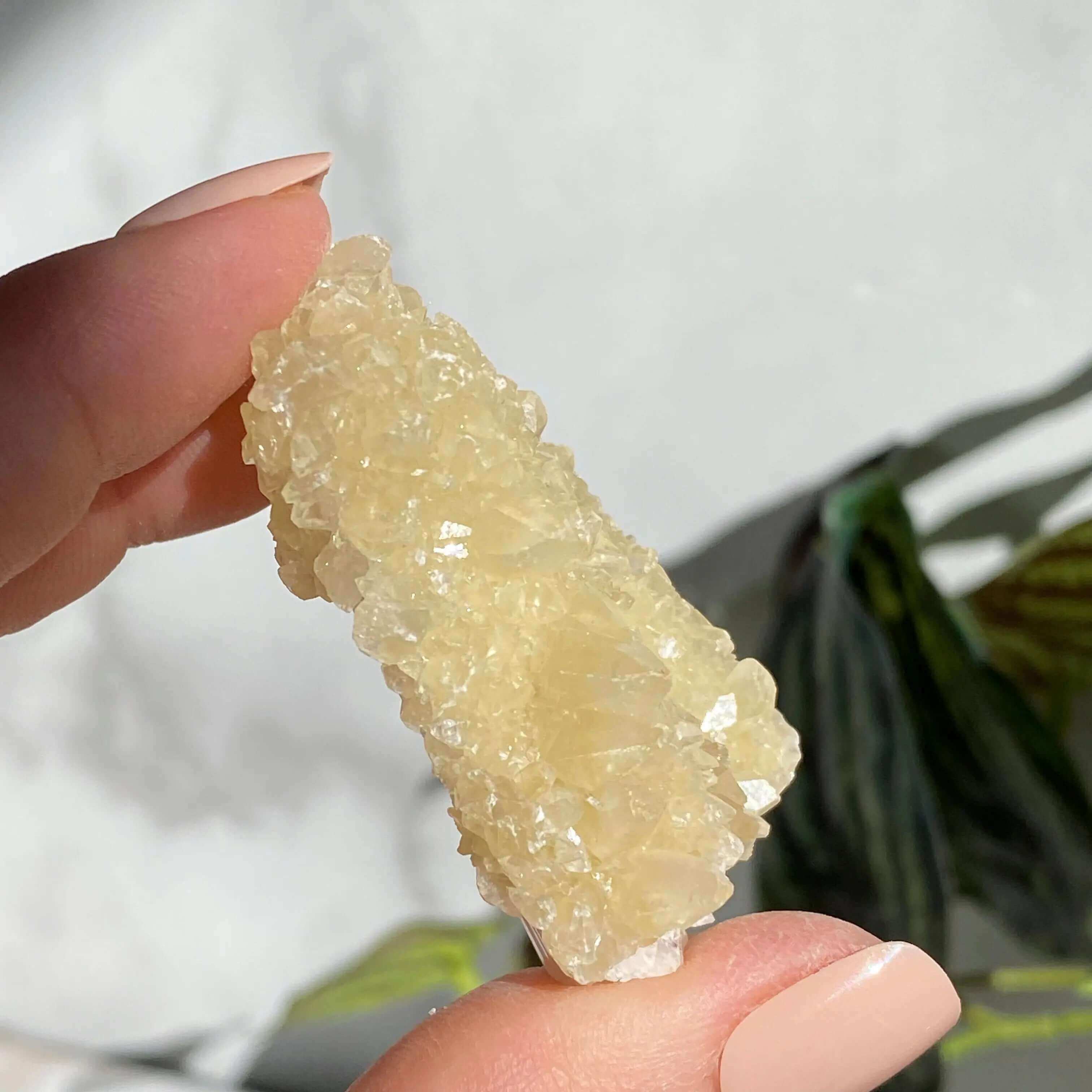 Druzy Pink Danburite with UV-Reactive Calcite | Stock TT Mooncat Crystals