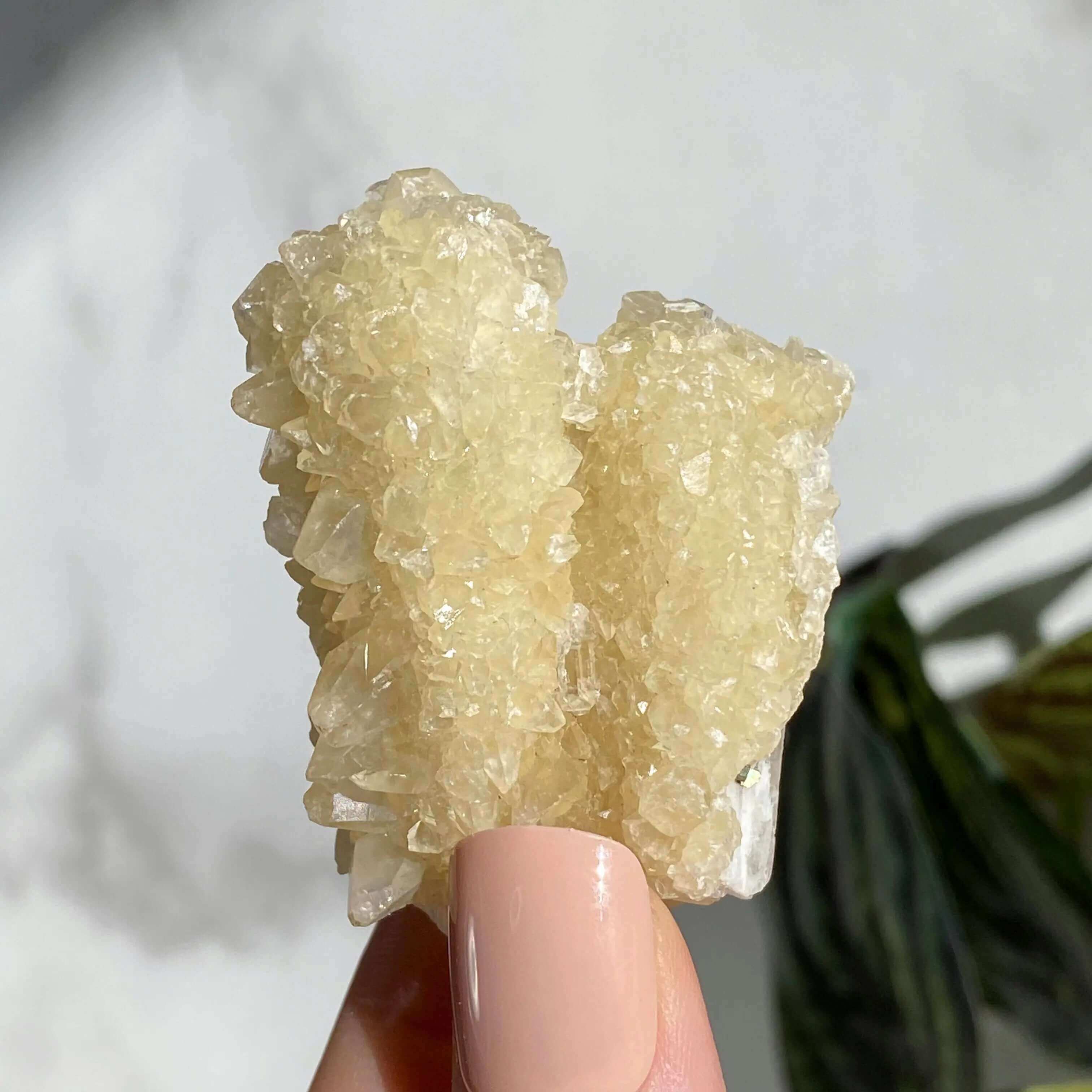 Druzy Pink Danburite with UV-Reactive Calcite | Stock TT Mooncat Crystals