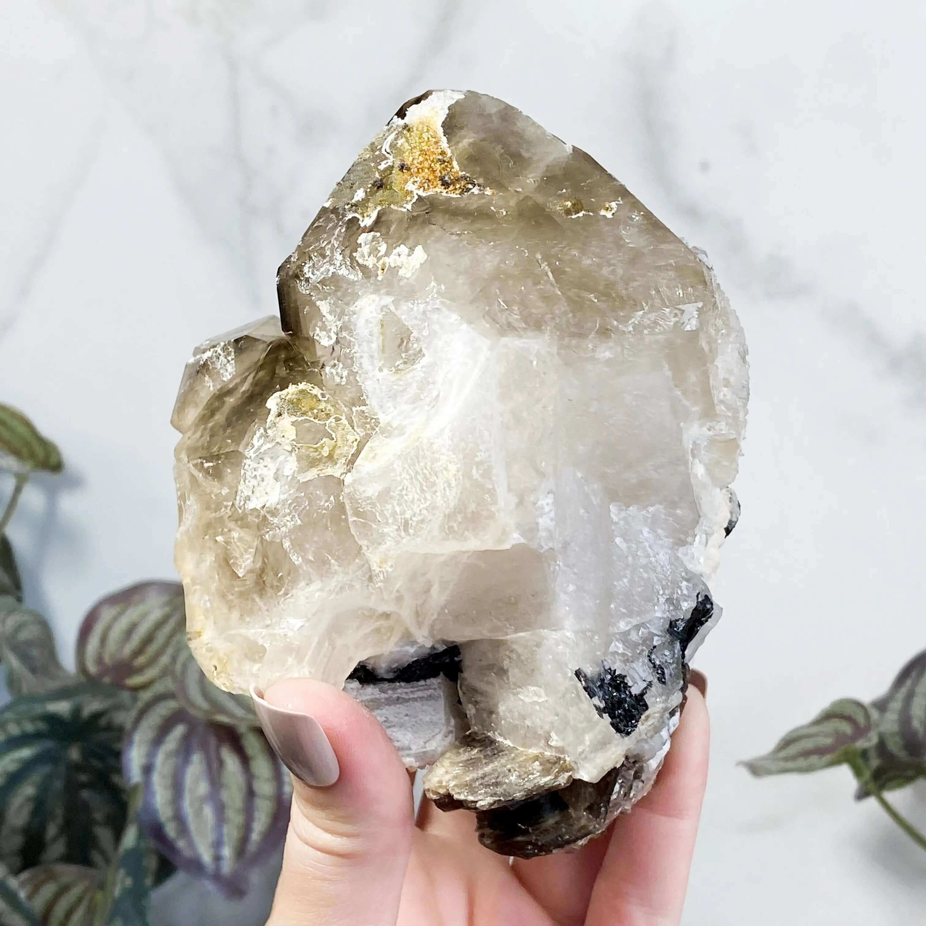 Elestial Quartz | Stock G Mooncat Crystals