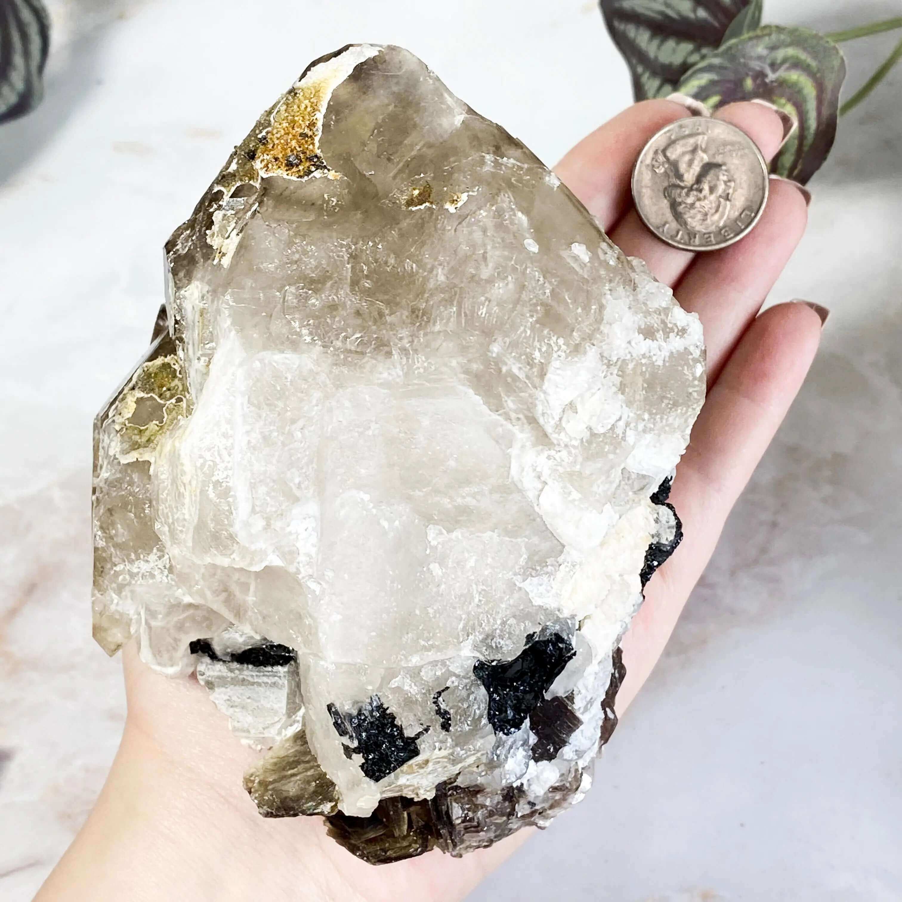 Elestial Quartz | Stock G Mooncat Crystals