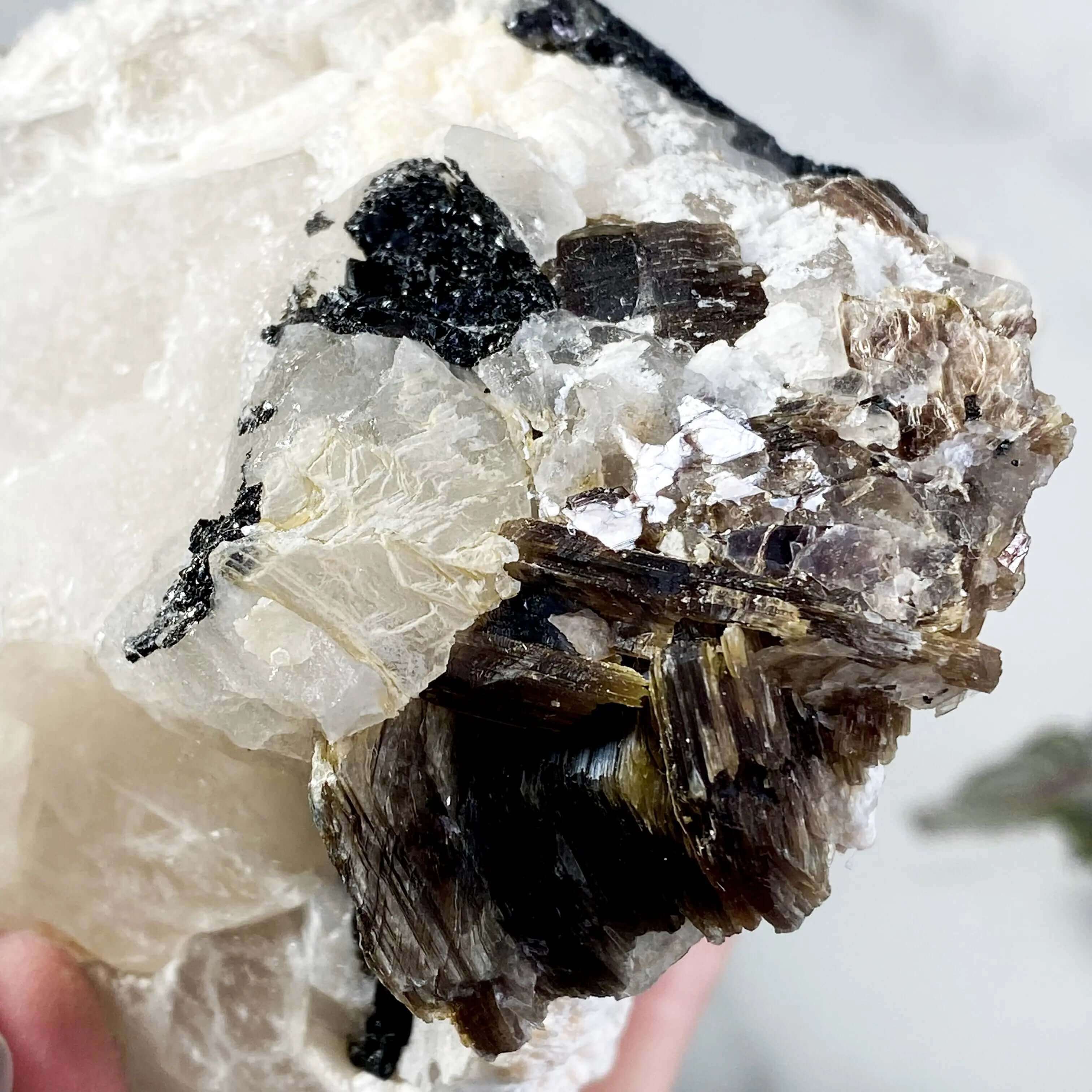 Elestial Quartz | Stock G Mooncat Crystals