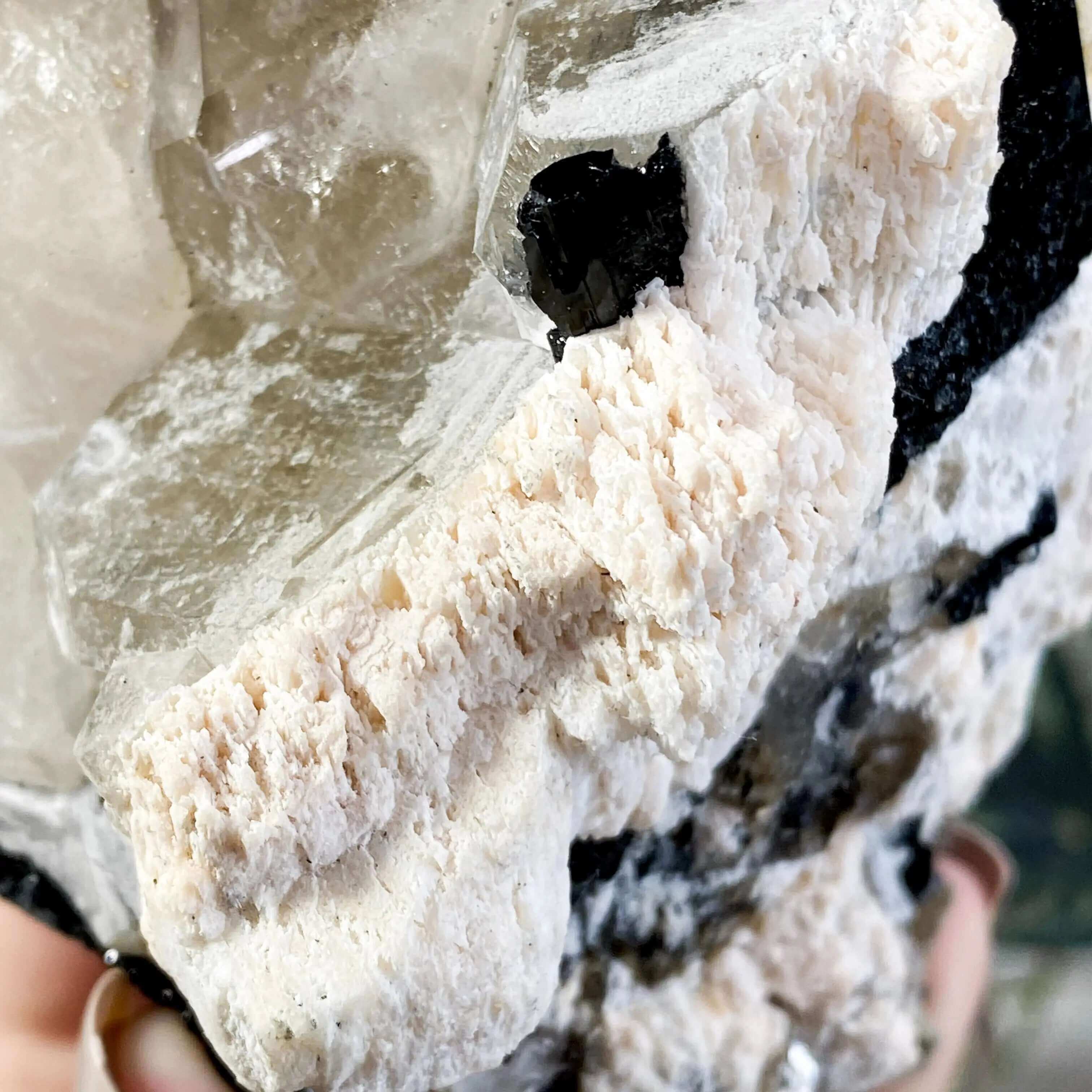 Elestial Quartz | Stock G Mooncat Crystals