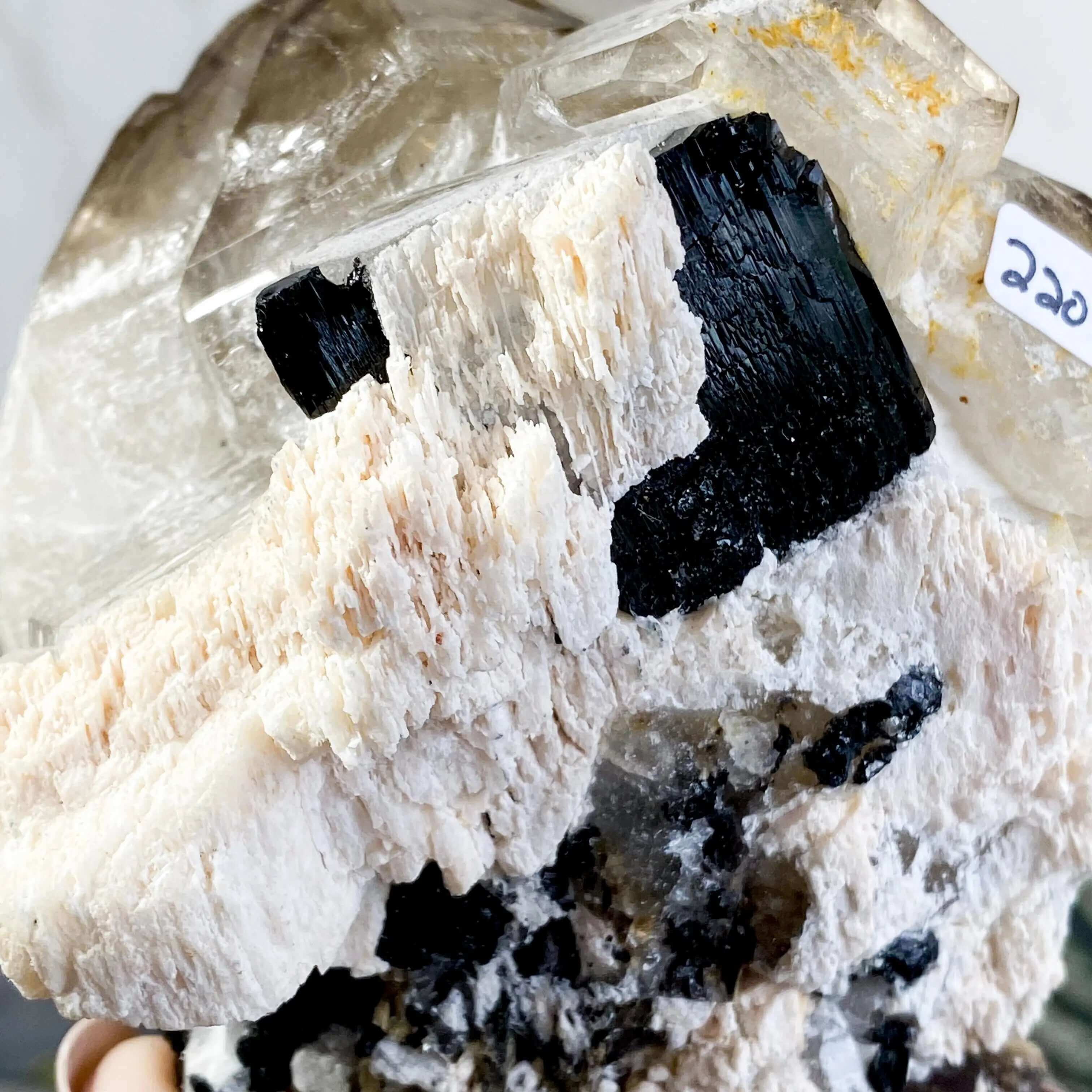 Elestial Quartz | Stock G Mooncat Crystals