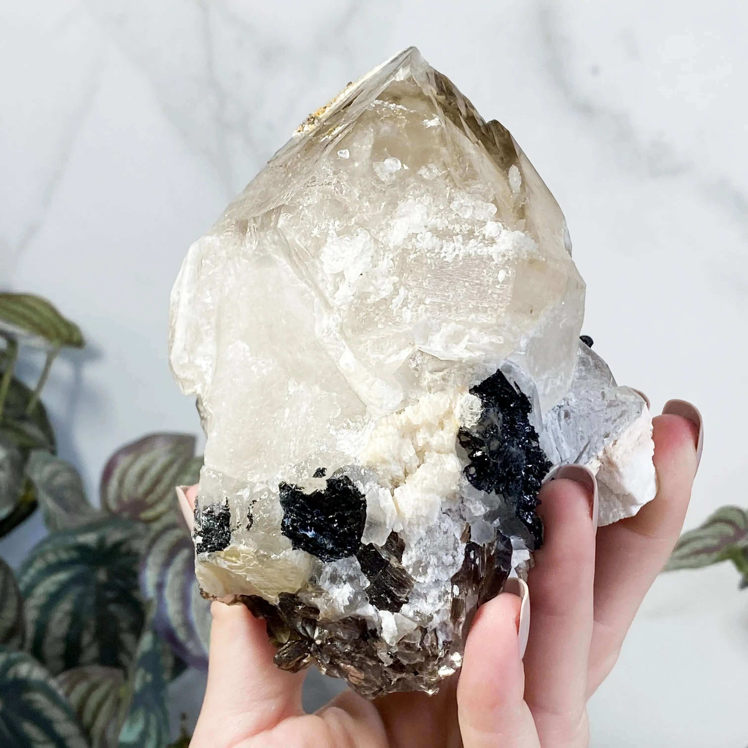 Elestial Quartz | Stock G Mooncat Crystals