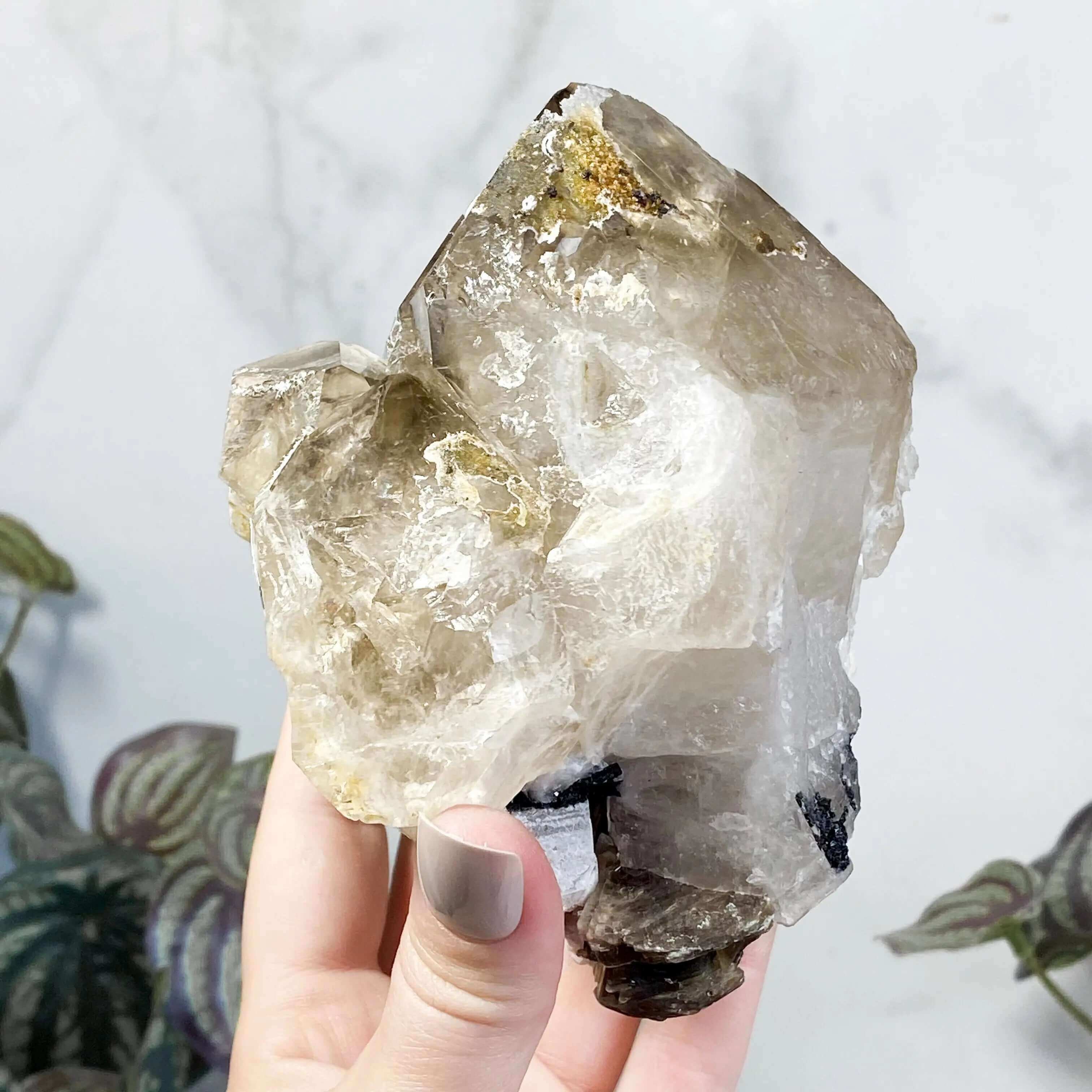 Elestial Quartz | Stock G Mooncat Crystals