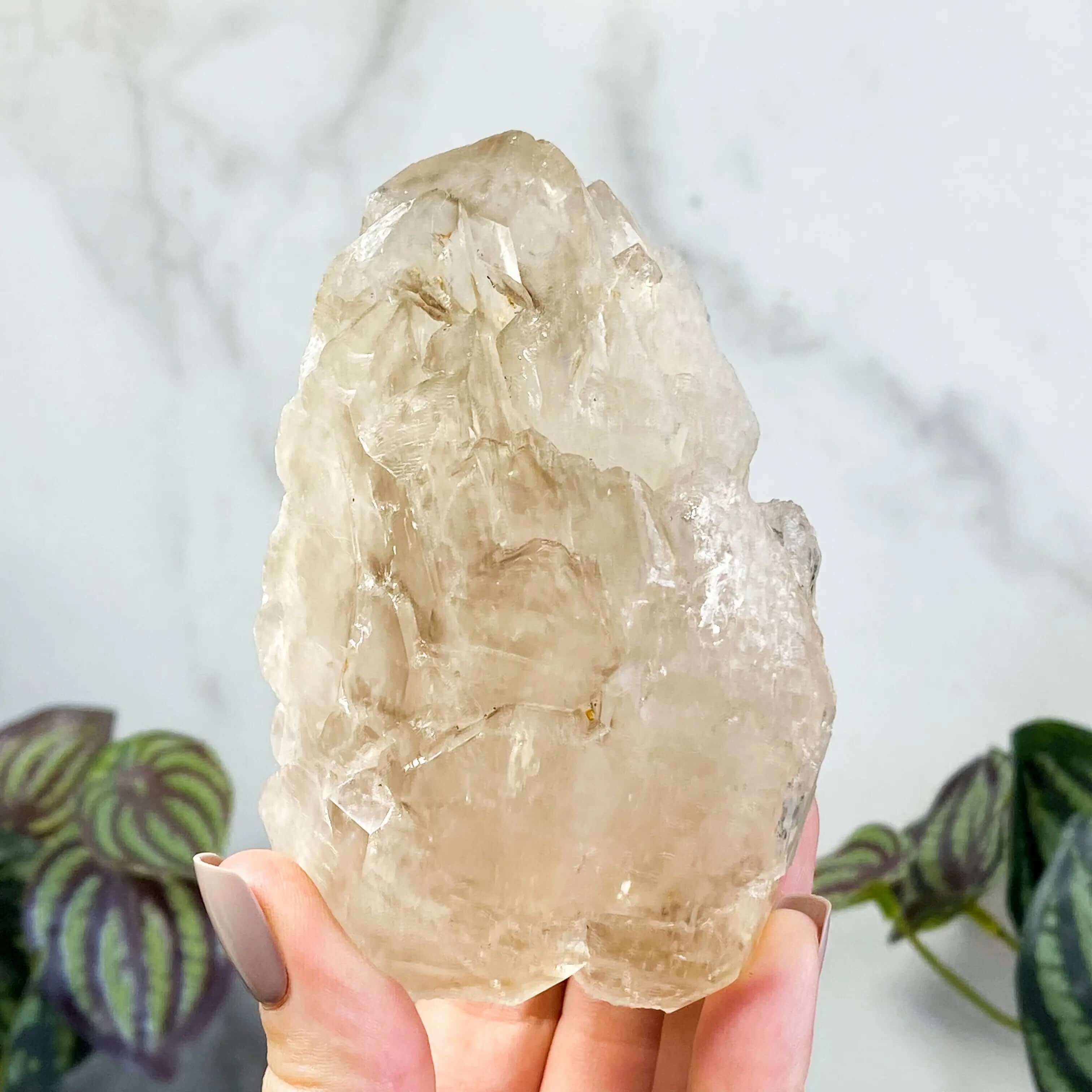 Etched Light Smoky Elestial Quartz | Stock C Mooncat Crystals